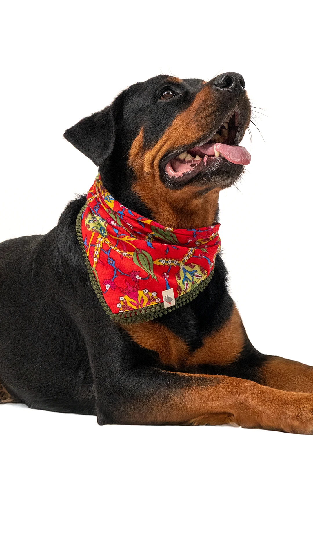 Köpek Fular - Lalezar image