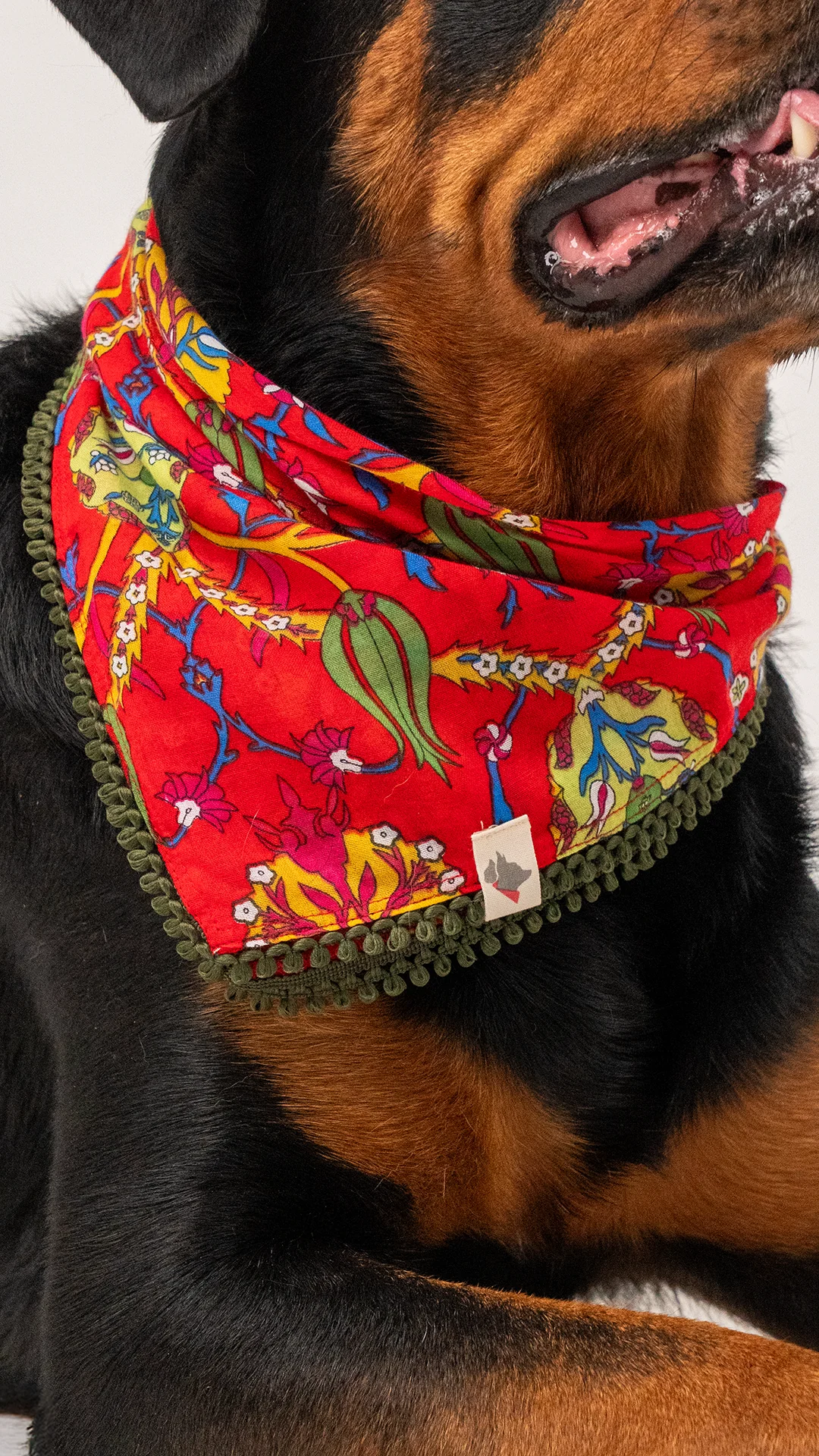 Köpek Fular - Lalezar