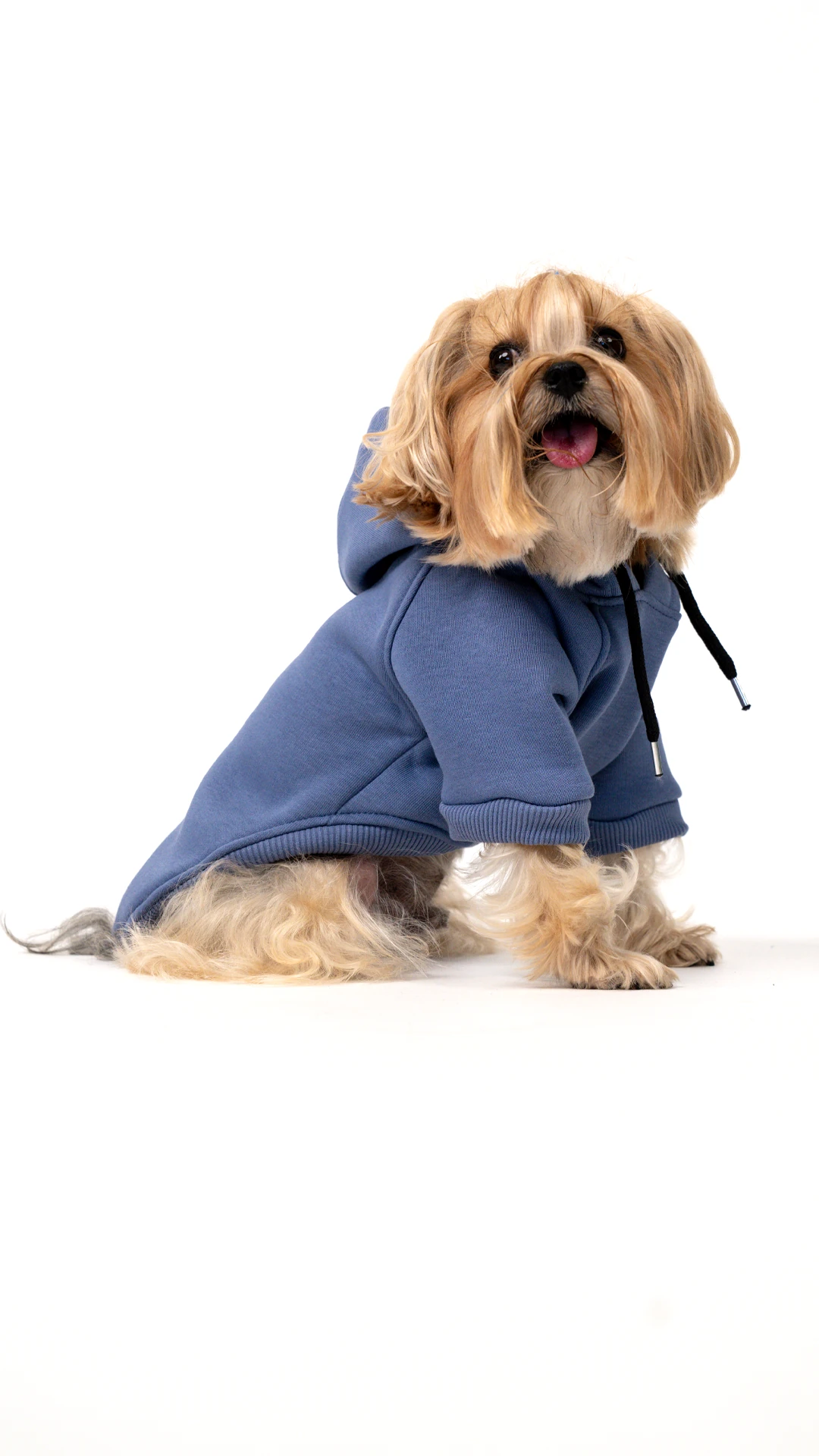 Köpek Hoodie - İndigo image