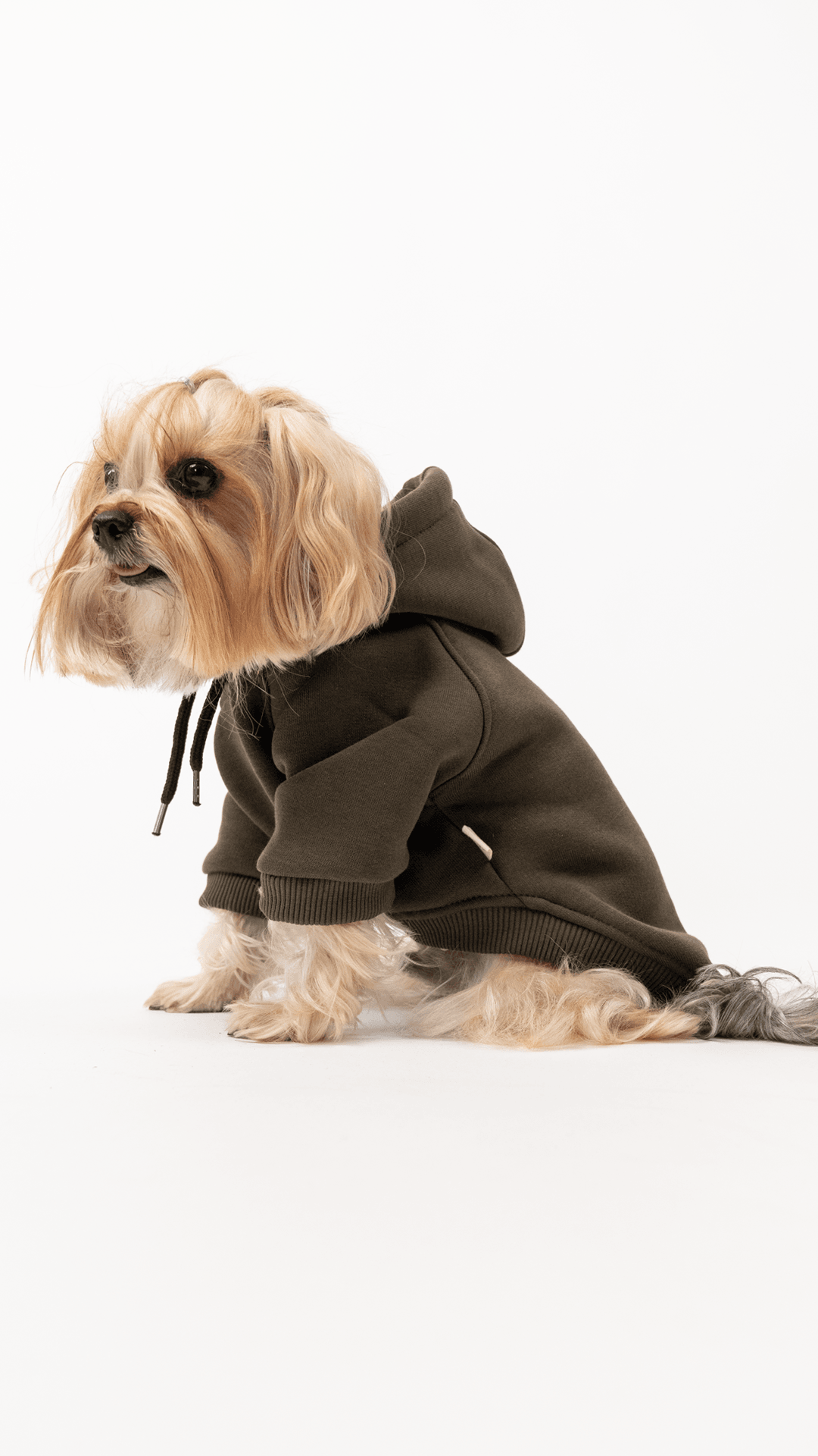 Köpek Hoodie - Haki image