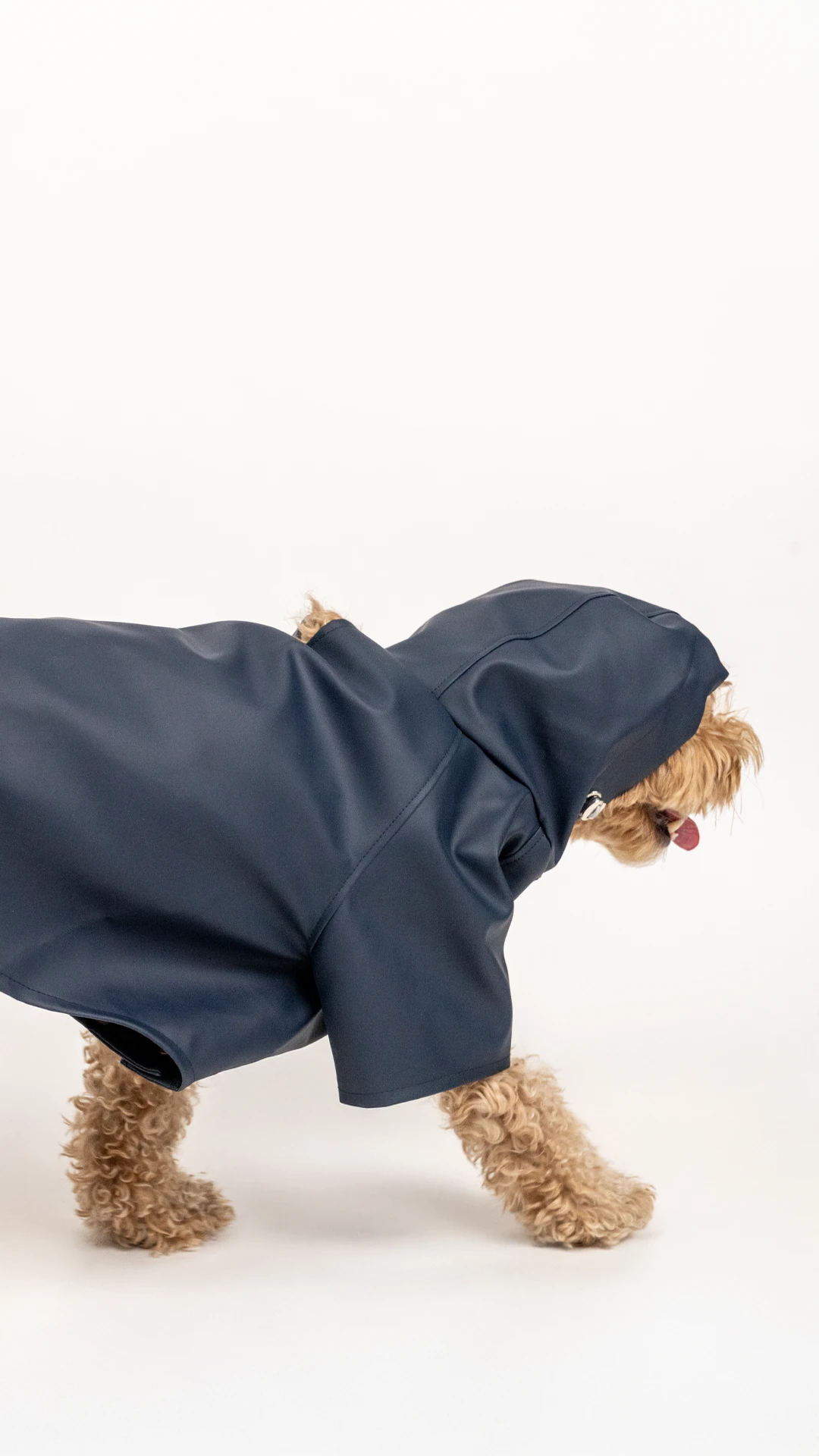 Köpek Yağmurluk - Lacivert image