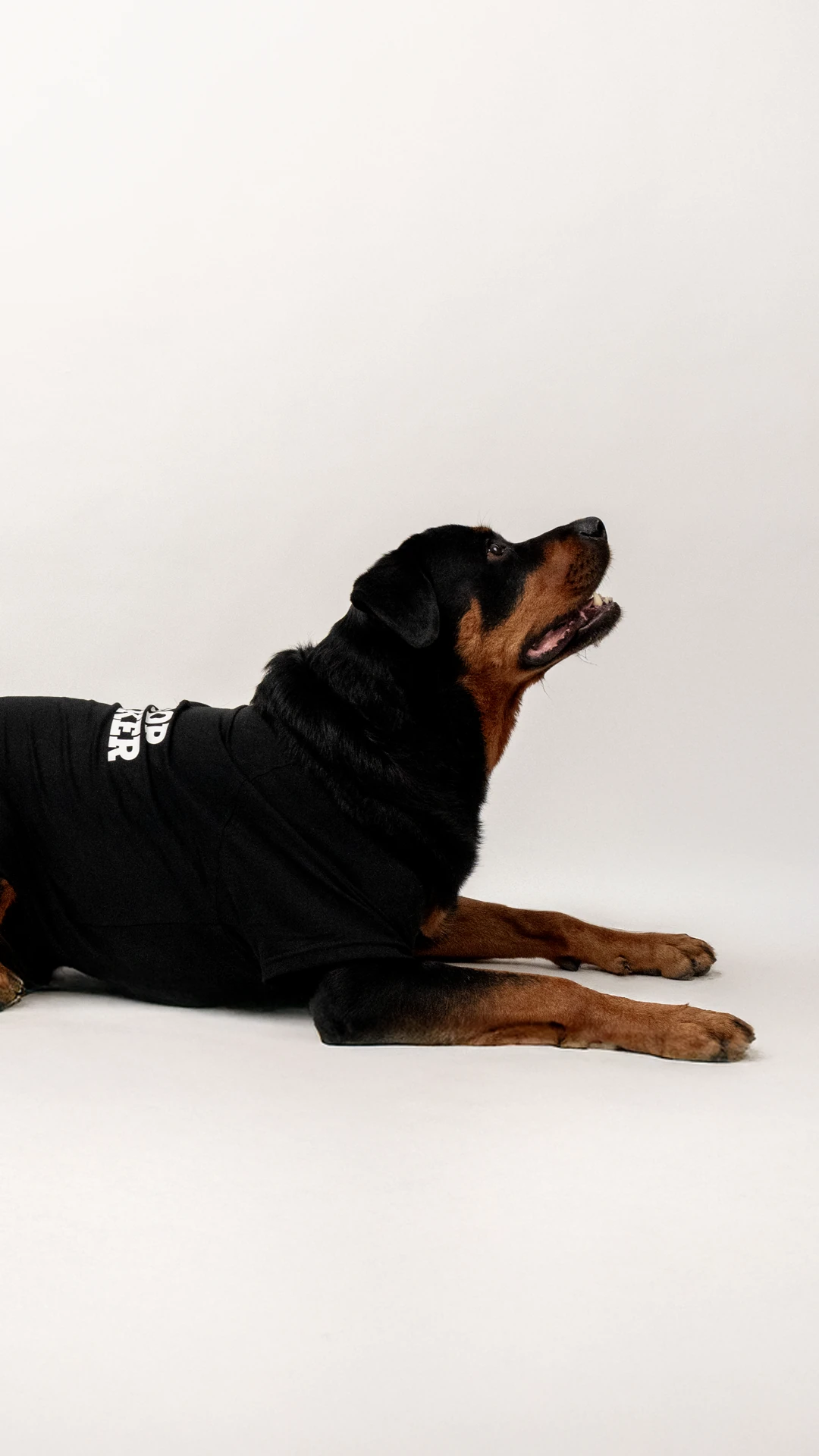 2'li Ceo T-Shirt Kombin / Kadın-Dost