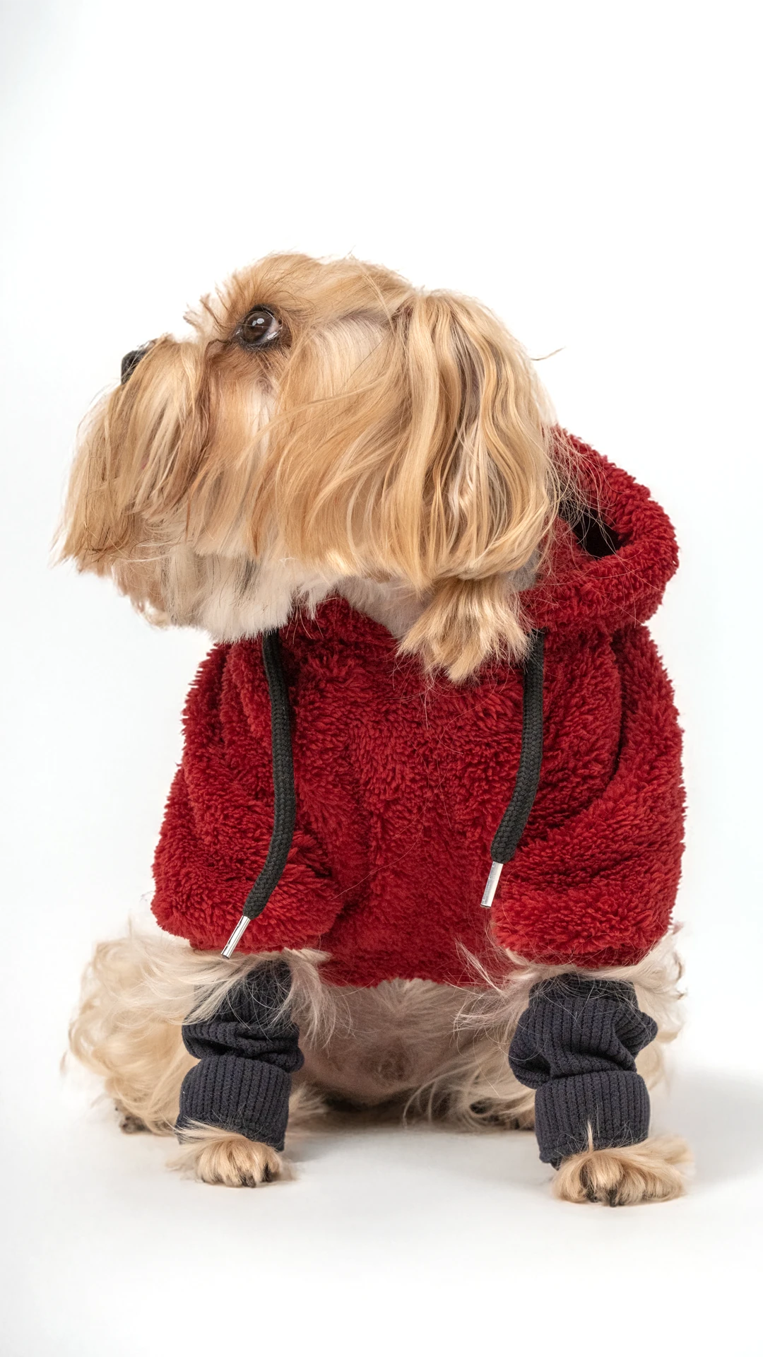 Köpek Wellsoft - Bordo