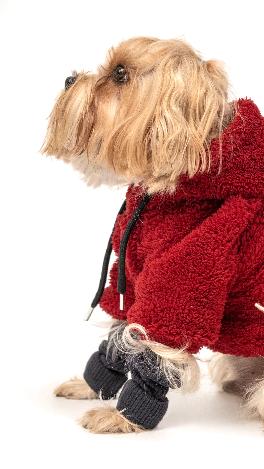 Köpek Wellsoft - Bordo