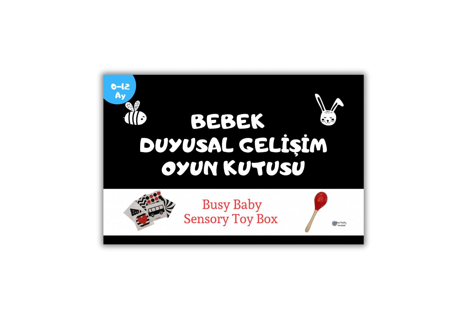 Bebek Duyusal Gelişim Oyun Kutusu