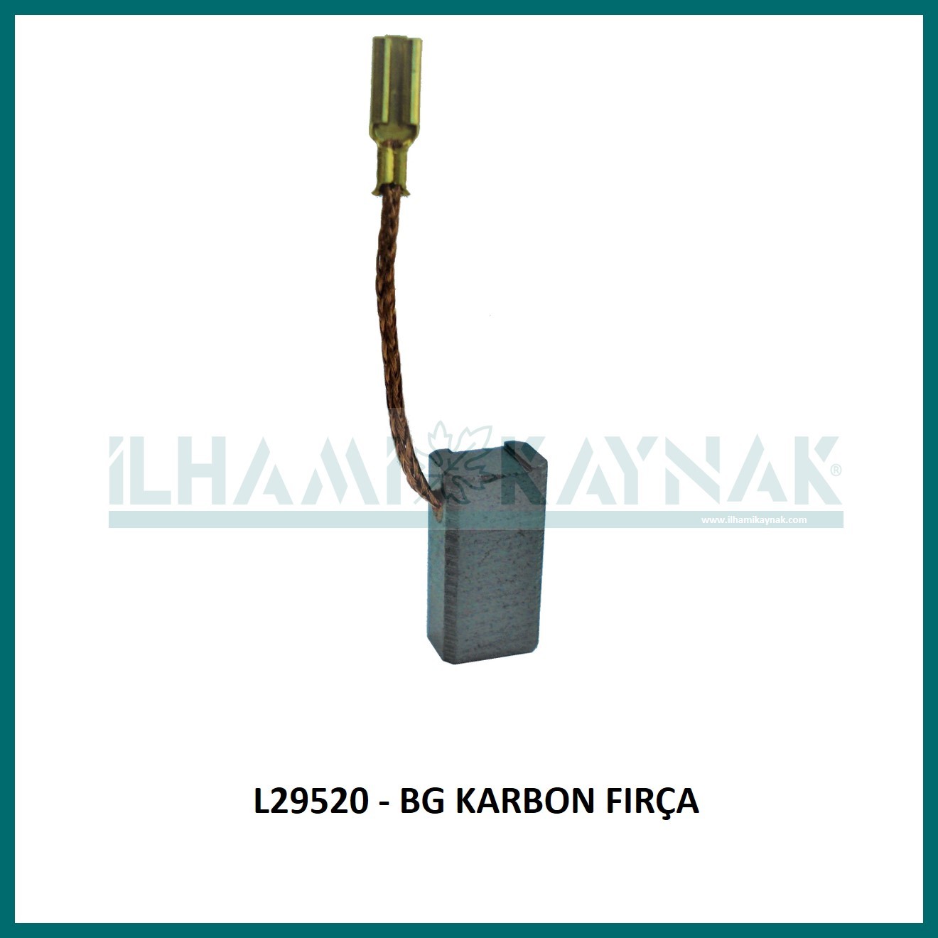 L29520 - EG KARBON FIRÇA 6*9*17.5 mm - 100 Adet