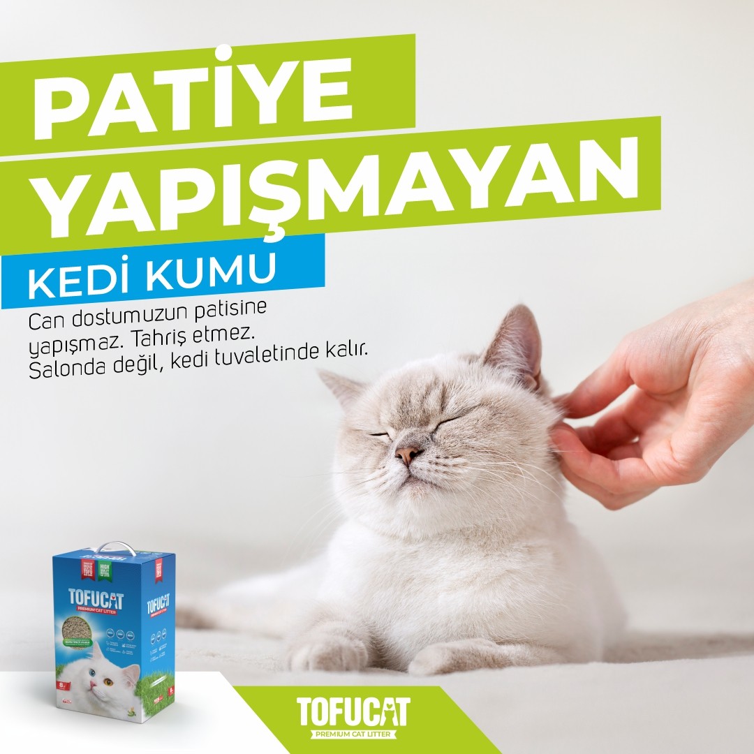 TofuCat 12 Litre (6 Litre x 2 Adet) Fırsat Paketi 