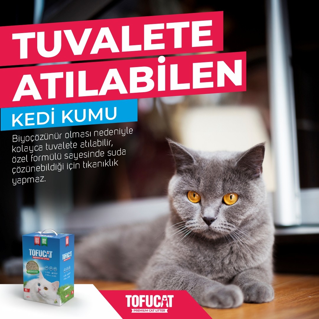 TofuCat 32 Litre (8 Litre x 4 Adet) Fırsat Paketi