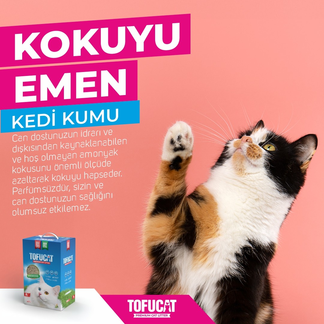 TofuCat 40 Litre (10 Litre x 4 Adet) Fırsat Paketi
