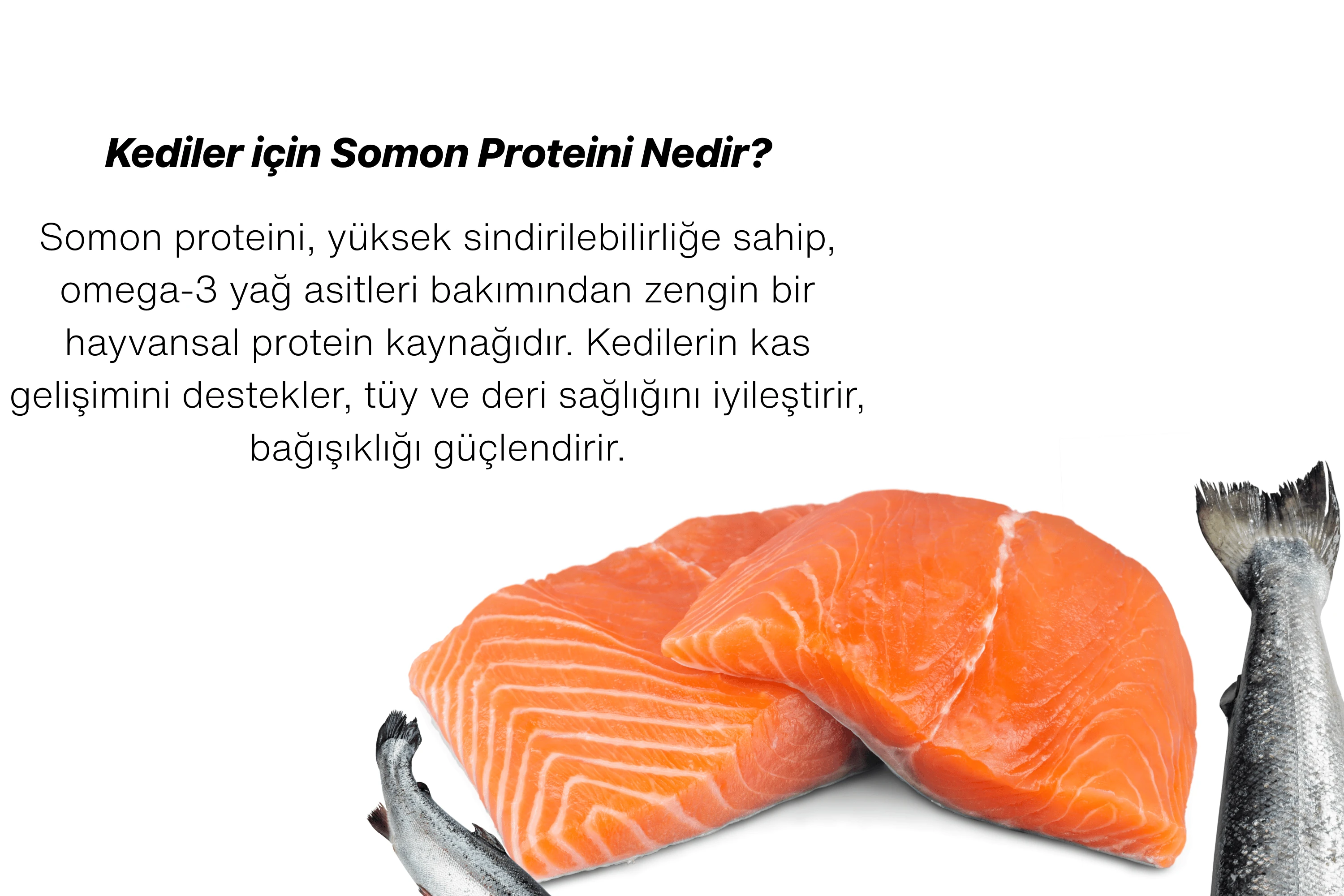 Tofucat Super Premium Sterilised Somonlu Kısır Kedi maması - Antialerjenik ve Düşük Tahıllı