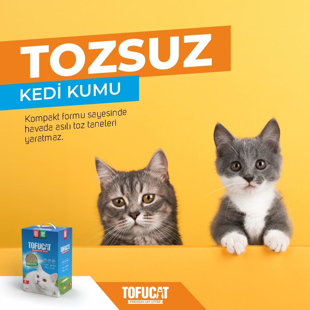 TofuCat 40 Litre (10 Litre x 4 Adet) Fırsat Paketi