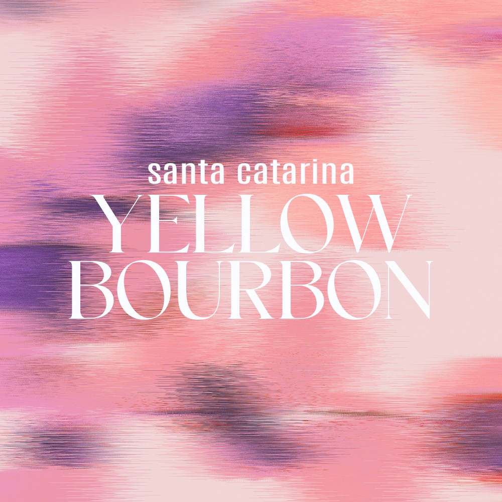 Brezilya Santa Catarina Yellow Bourbon