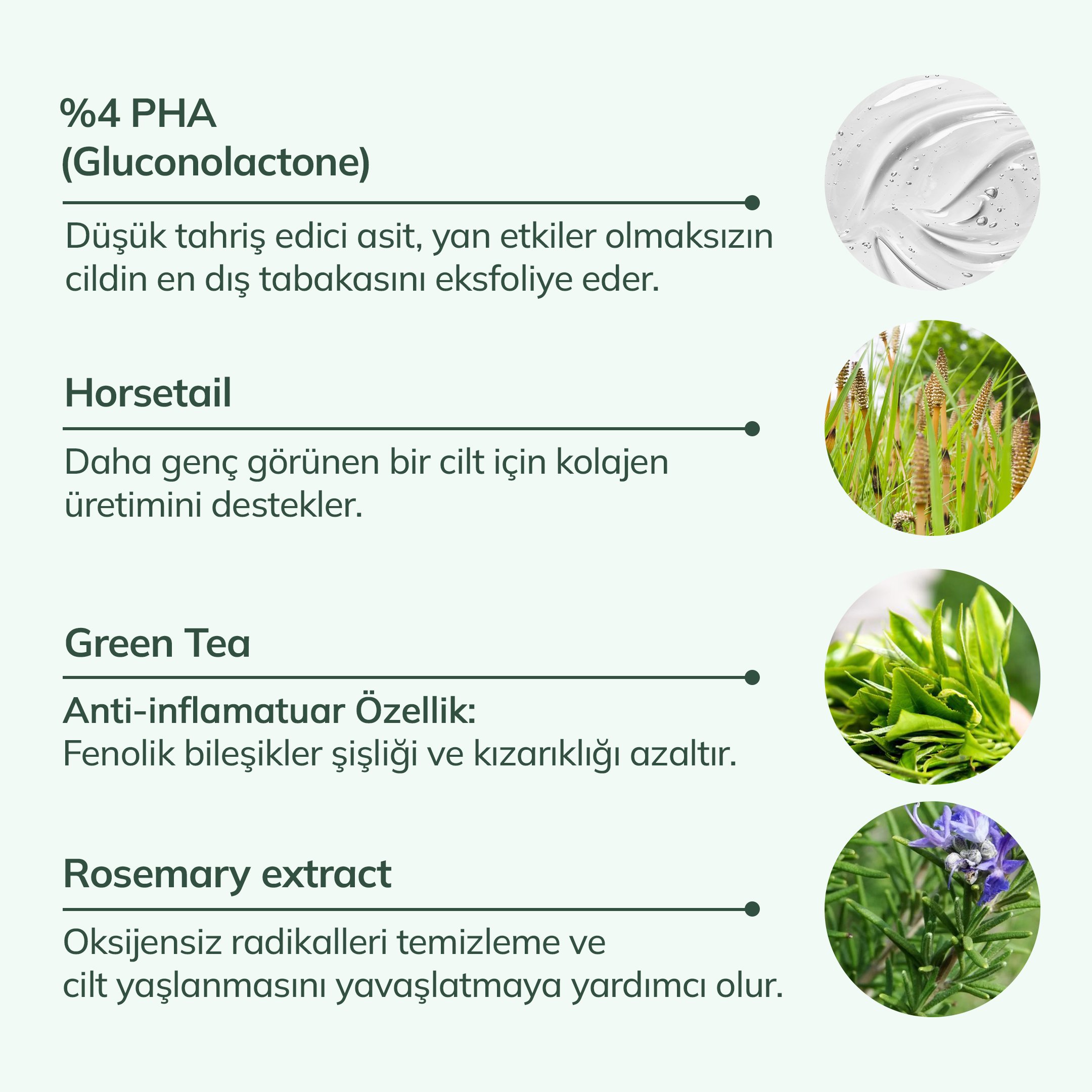 Bio-Ferment Anti-Acne Essence ( %4 PHA + Horsetail + Green Tea)