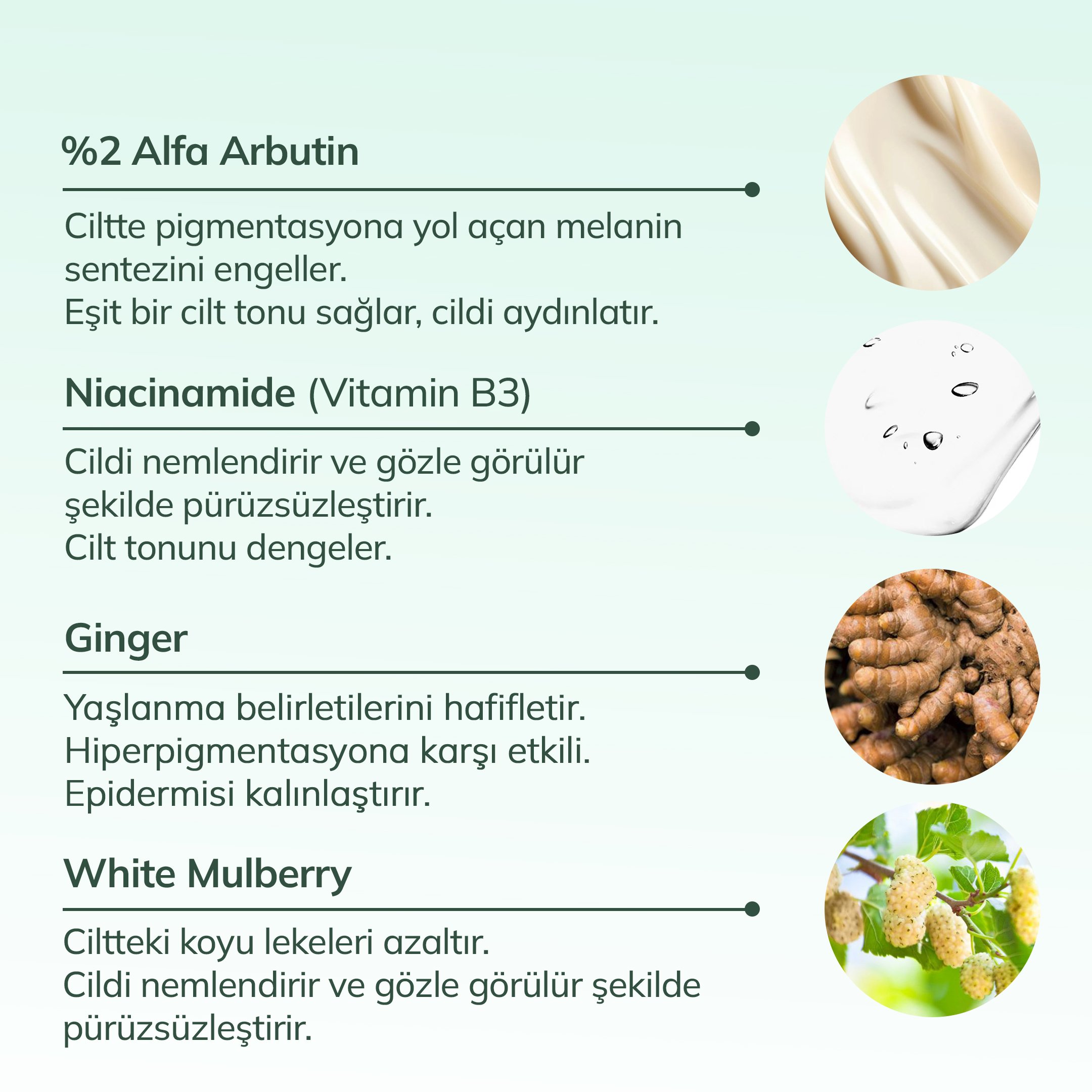 Bio-Ferment Anti-Pigment Essence (%2 Alfa Arbutin + White Mulberry)