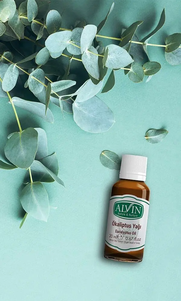 Okaliptus Yağı 20 ml | Alvin Nature