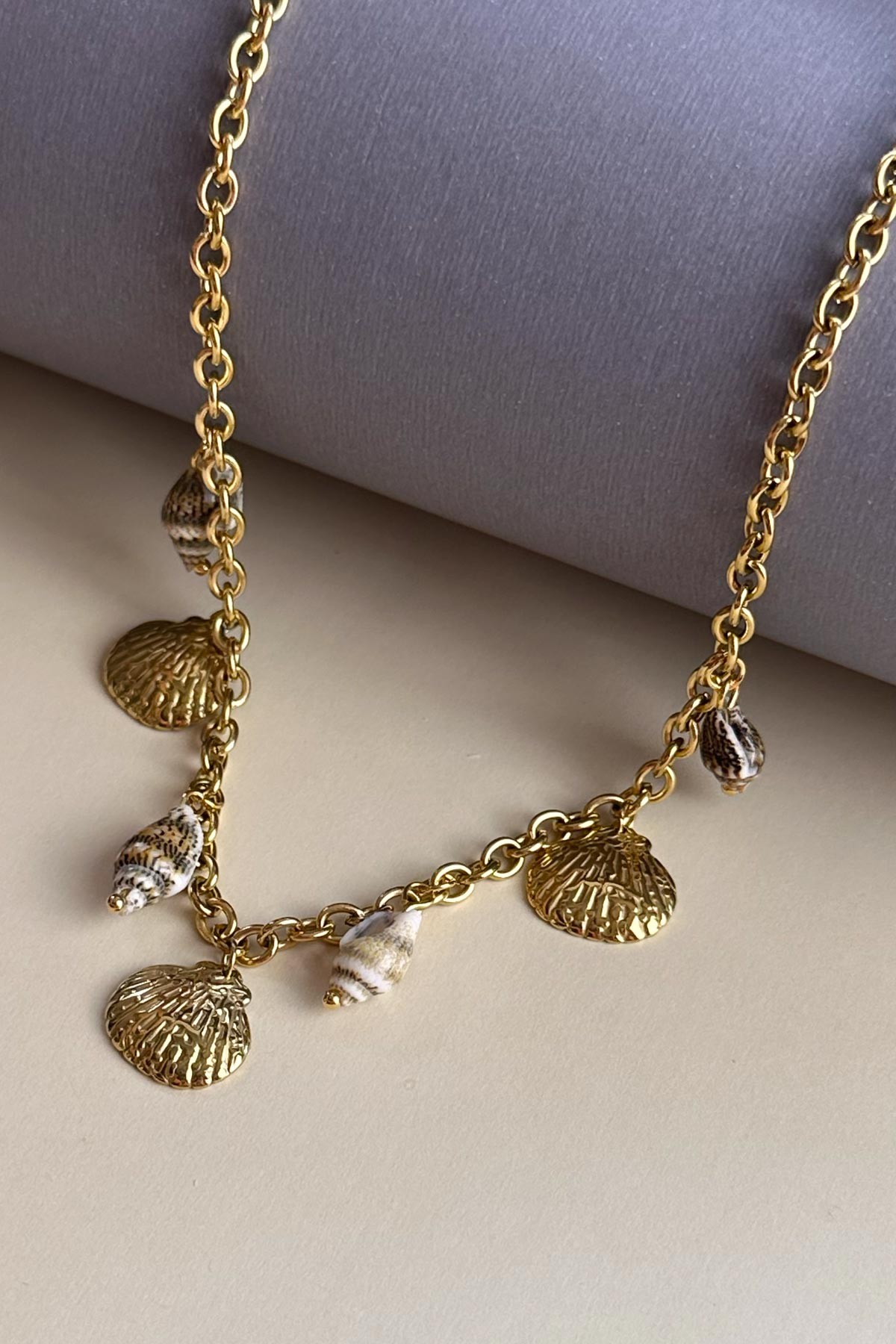 Gold Deniz Kabuğu Dansı 45cm Çelik Kolye AKL3999