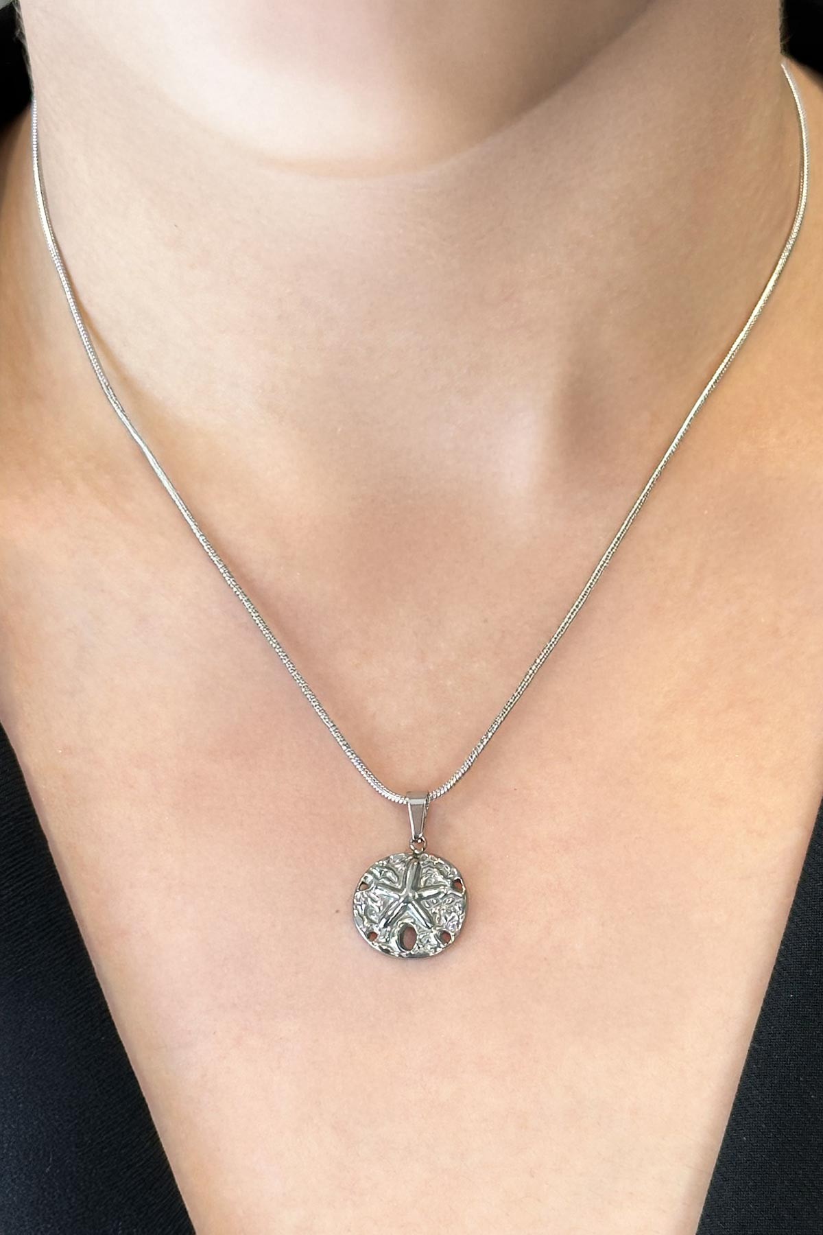 Silver Boru Zincir Desenli Pul Üzerinde Deniz Yıldızı Detay Çelik Kolye 45 cm AKL3699