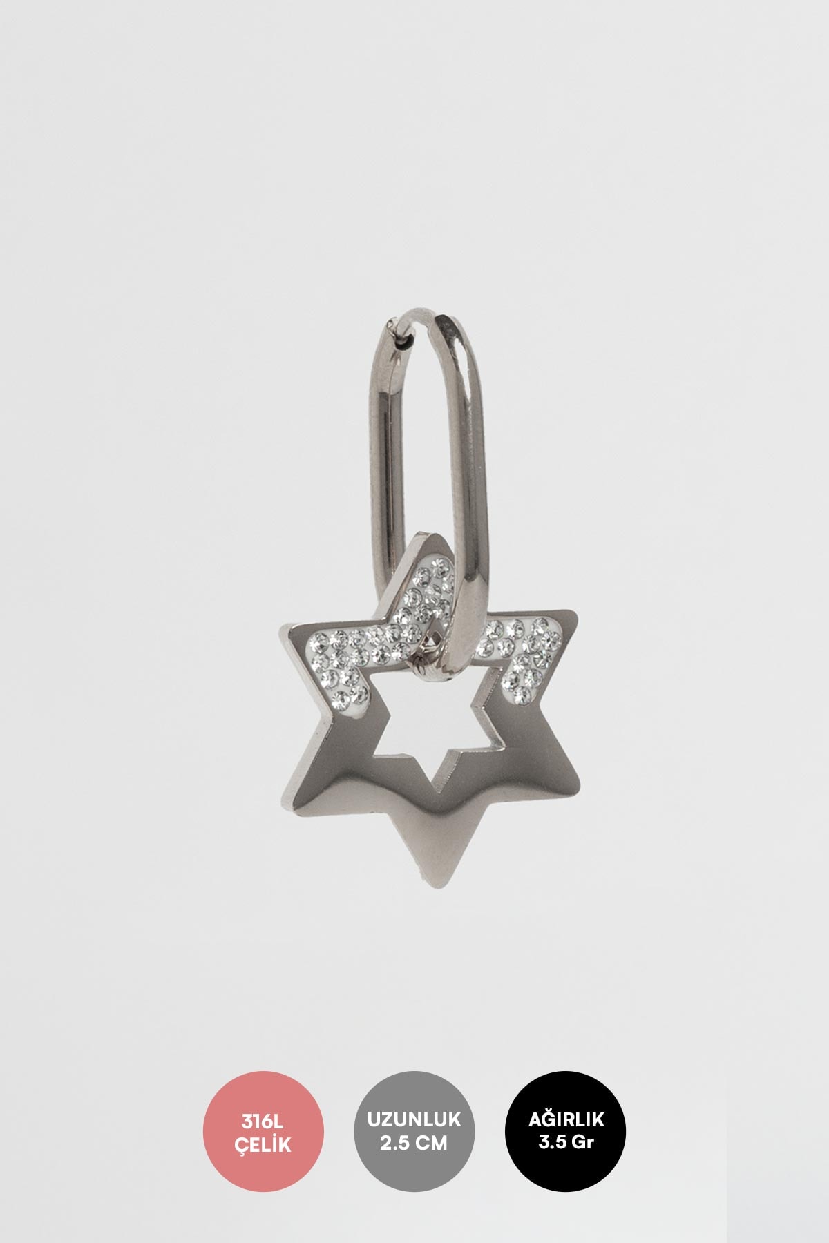 Silver Halka İçinde Sallantılı Zirkon Taş Detay Yıldız Çelik Küpe AKE9231