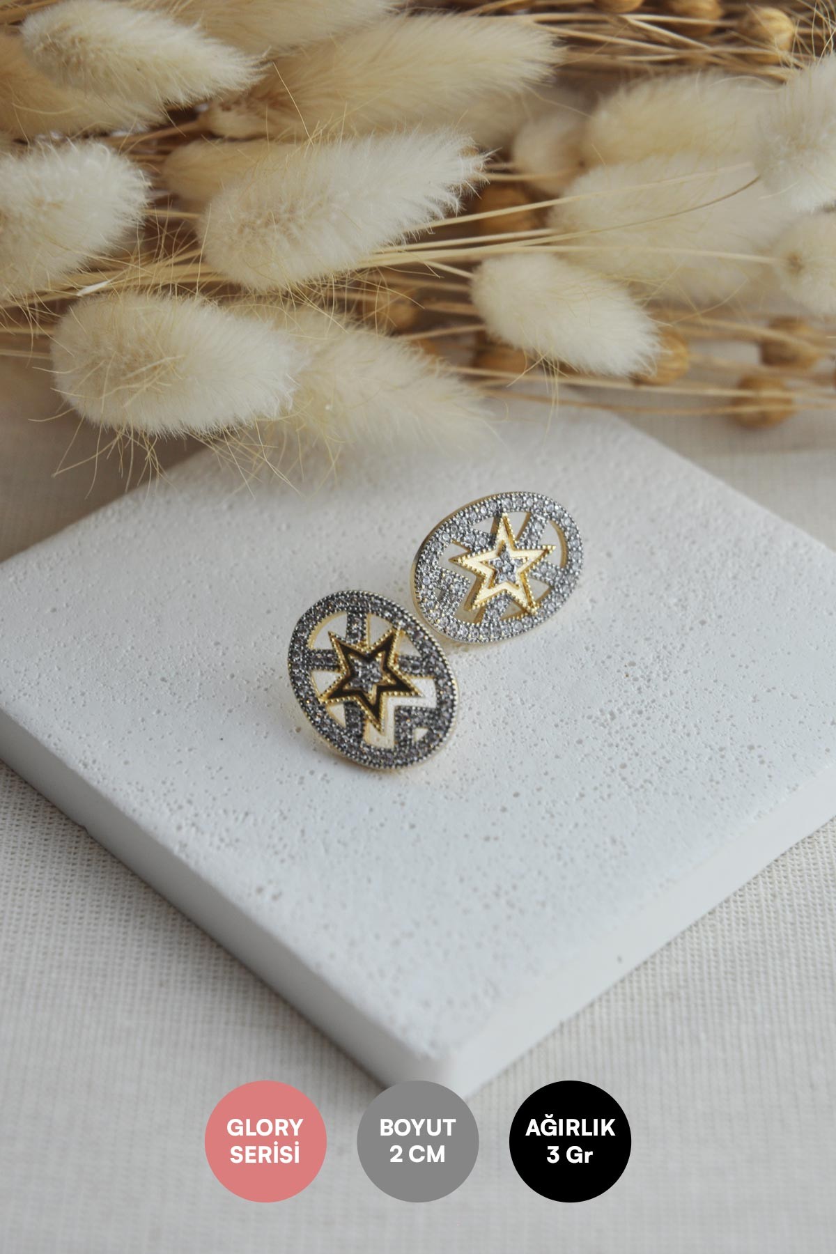 Zirkon Elips İçerisinde Gold Yıldız Tasarım Glory Küpe AKE9038
