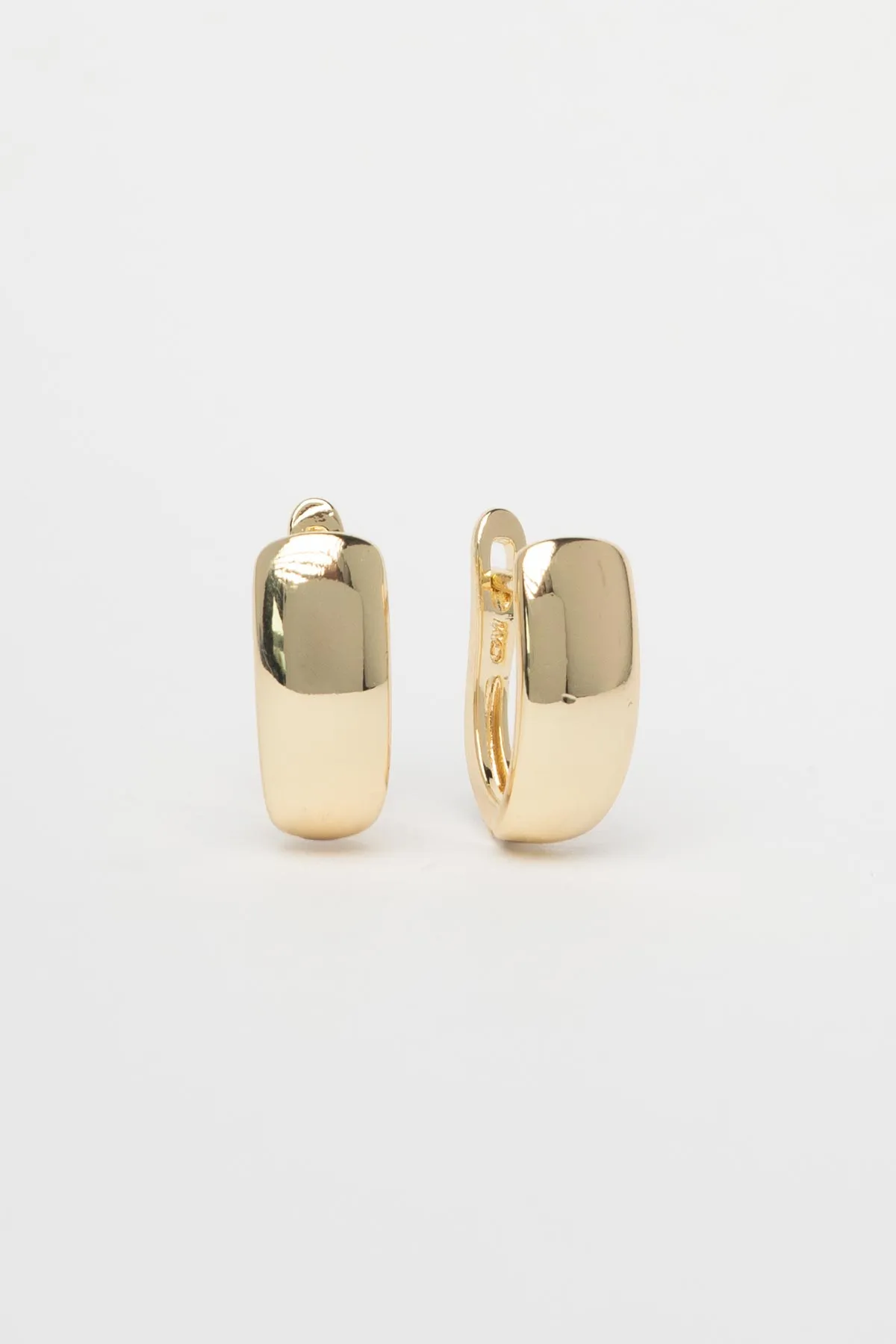 Gold 14K Kalın Basic Halka Glory Küpe AKE9713