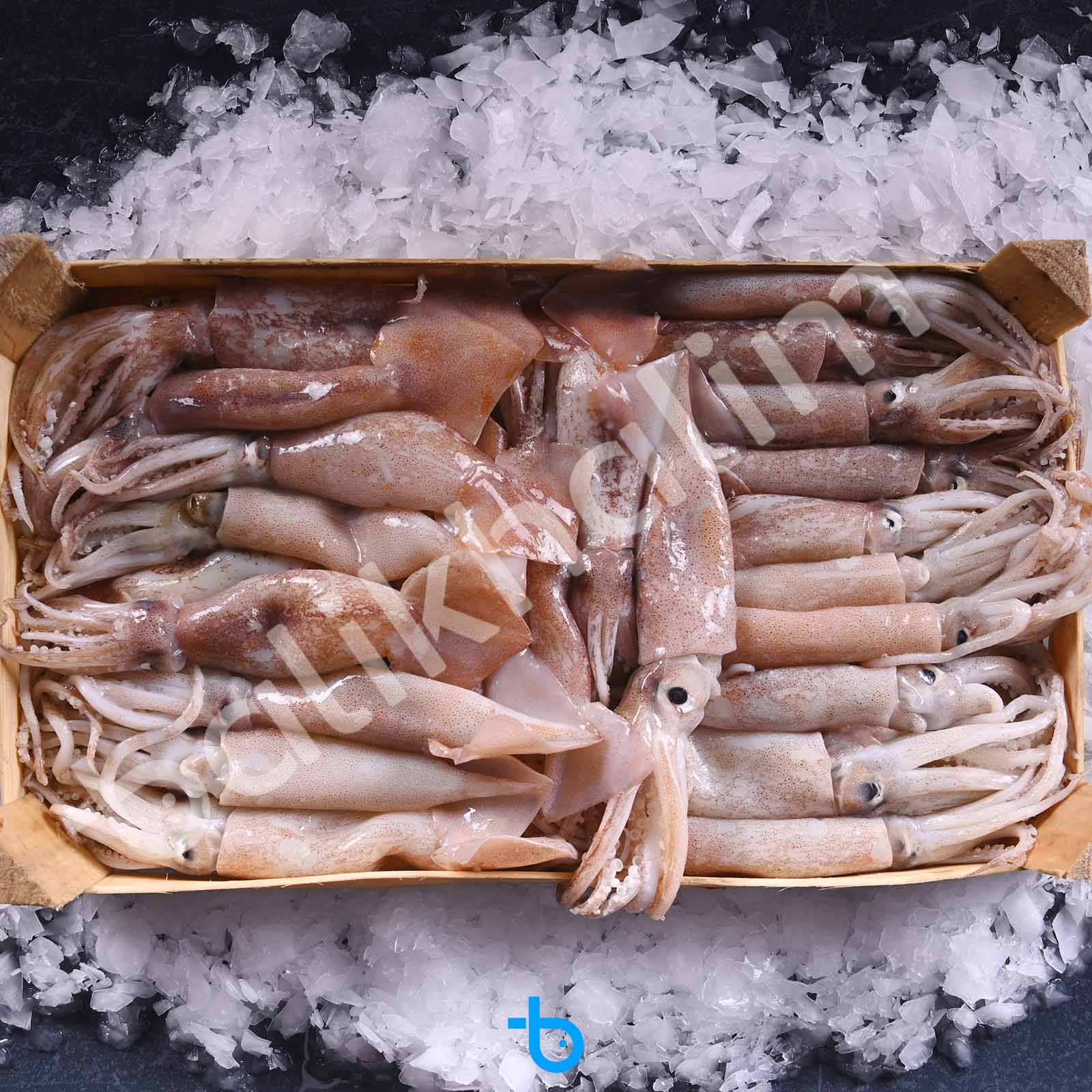 Bülbül Kalamar Kasa 3 Kg 