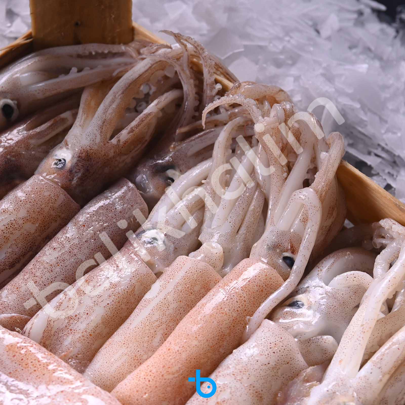 Bülbül Kalamar Kasa 3 Kg 