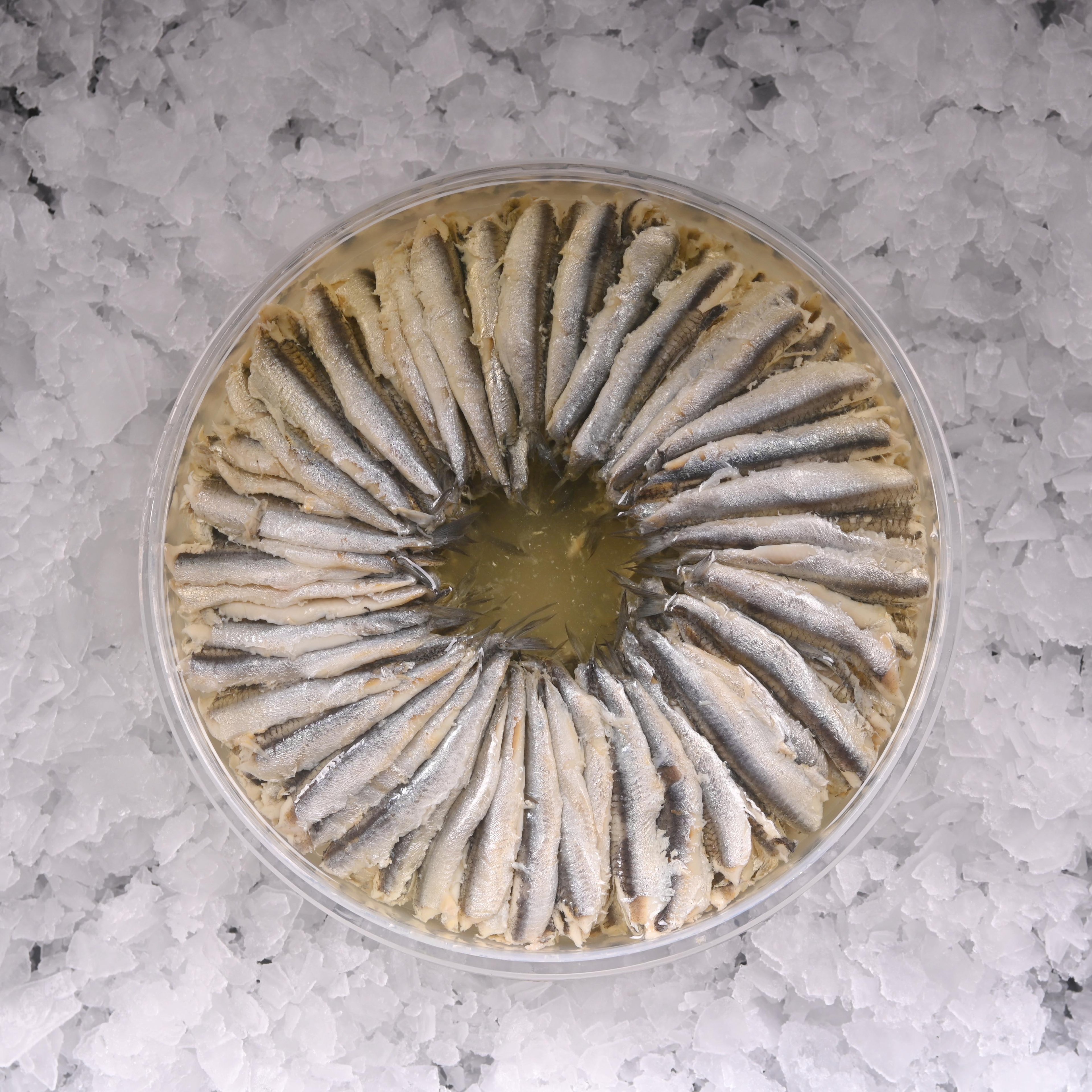 Hamsi Marine 200 GR