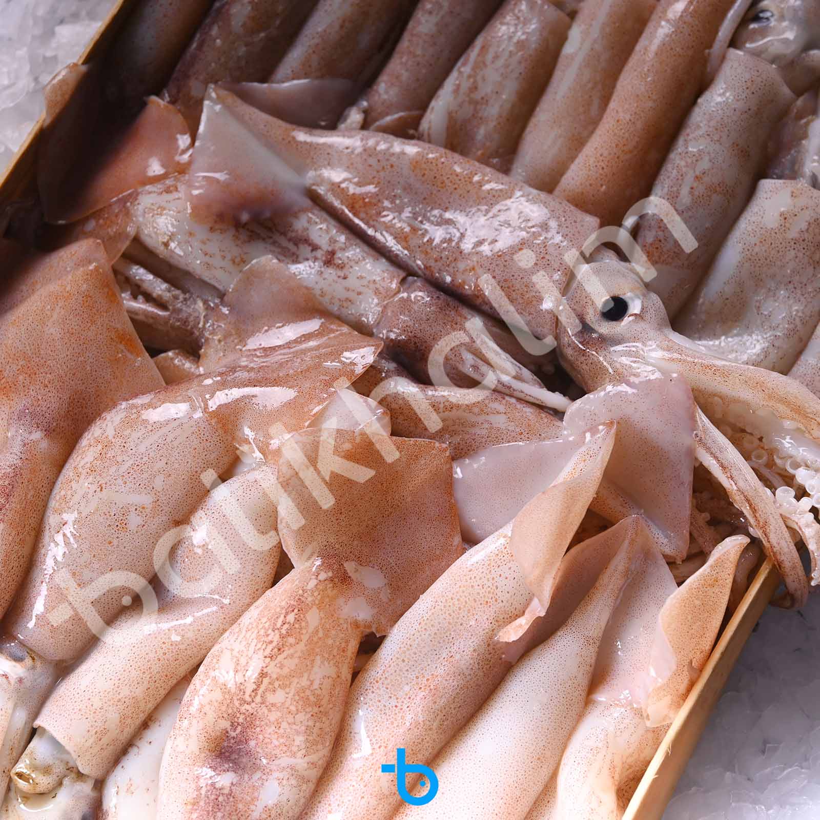 Bülbül Kalamar Kasa 3 Kg 