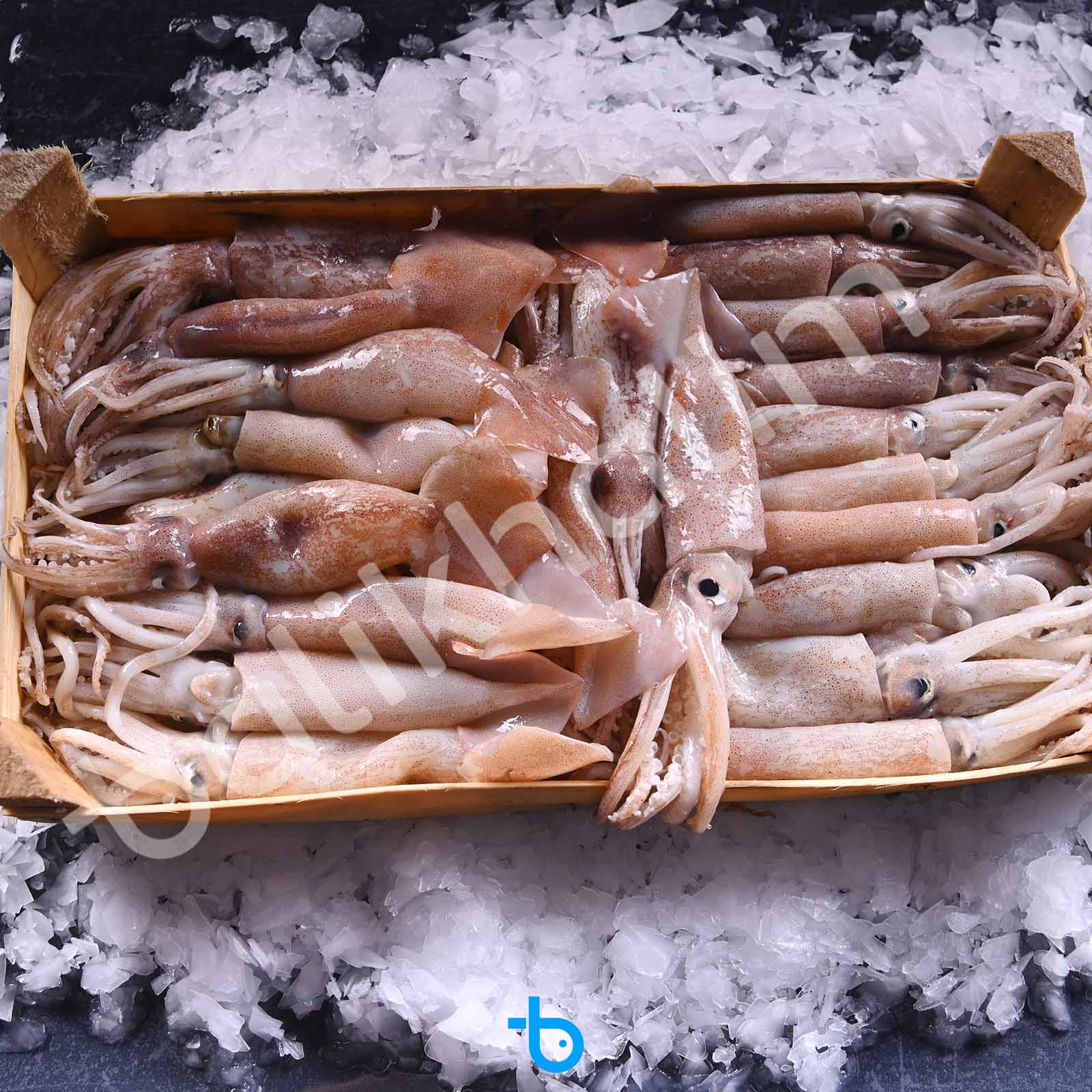 Bülbül Kalamar Kasa 3 Kg 