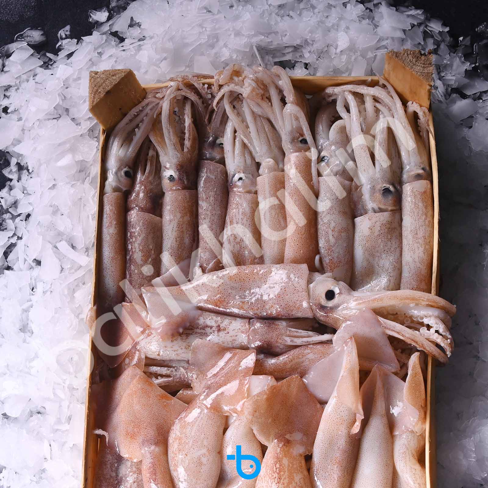 Bülbül Kalamar Kasa 3 Kg 