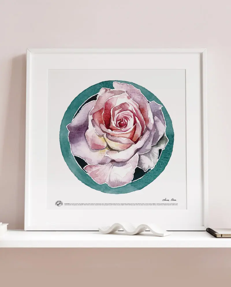 Spray Roses Poster Purple Rose, Poster