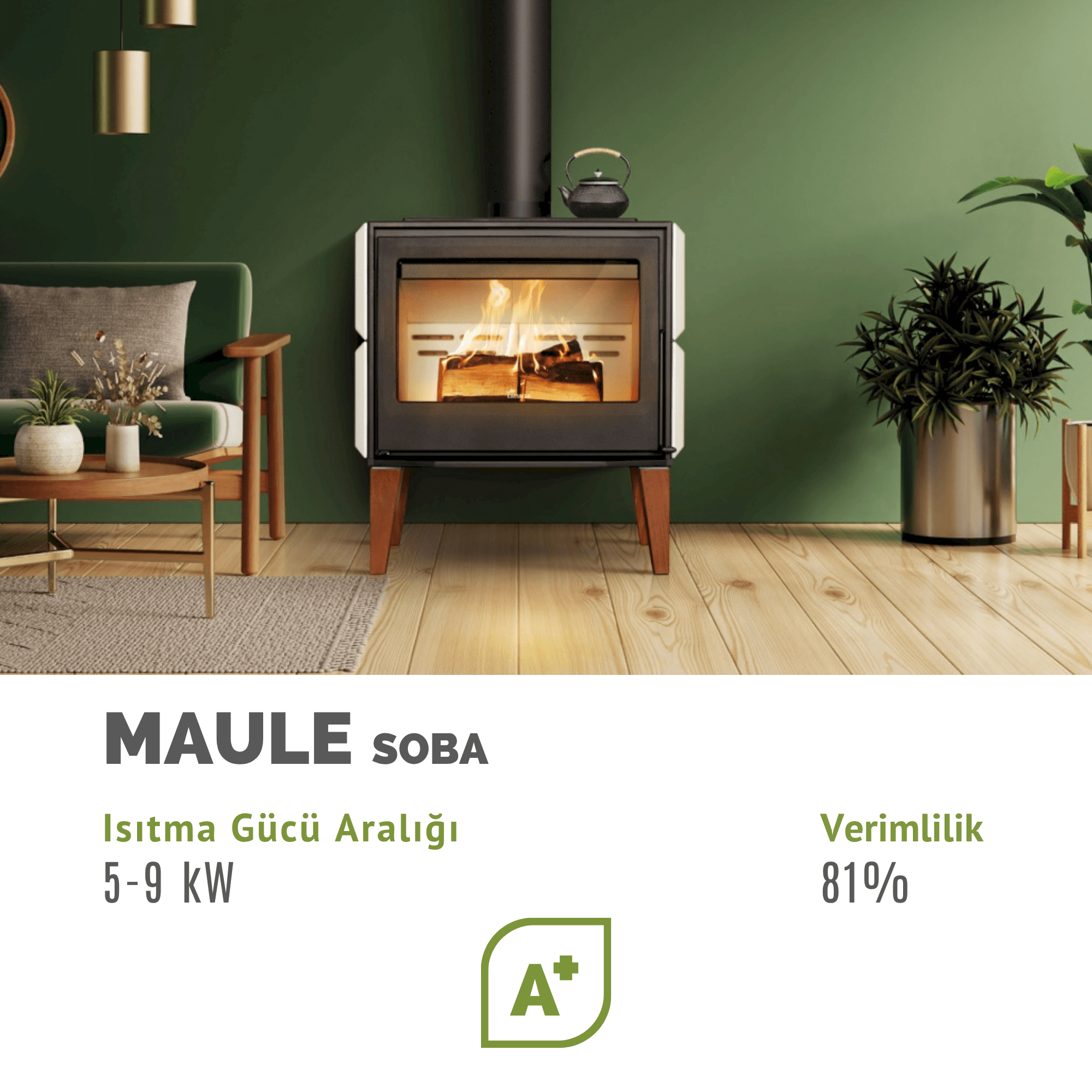 Lacunza Maule Soba