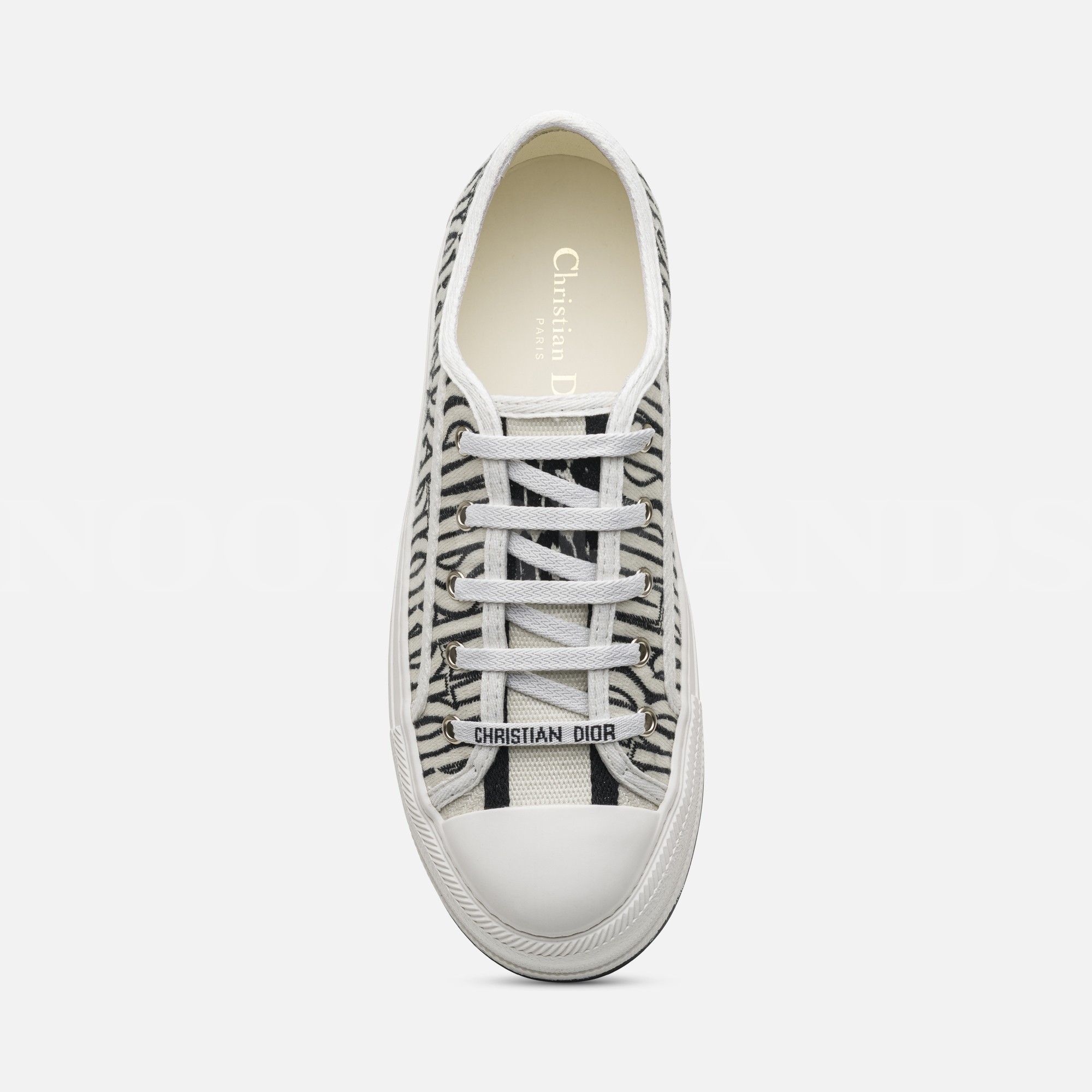 Beyaz Kadın Canvas Sneaker