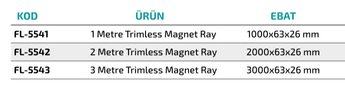 Ledim Magnet Sıva Altı Ray /LDM5541