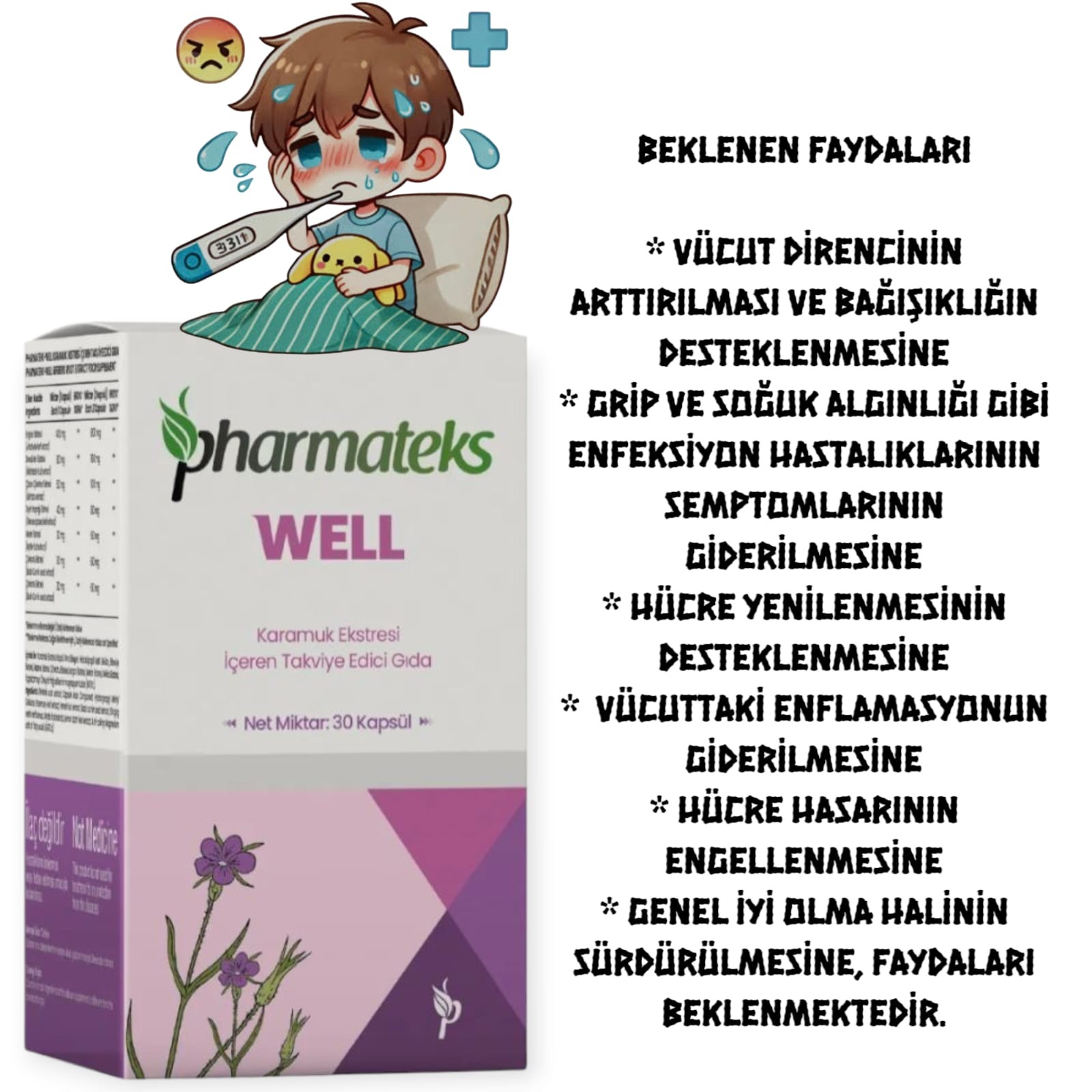  pHARMATEKS-WELL 30 KAPSÜL 