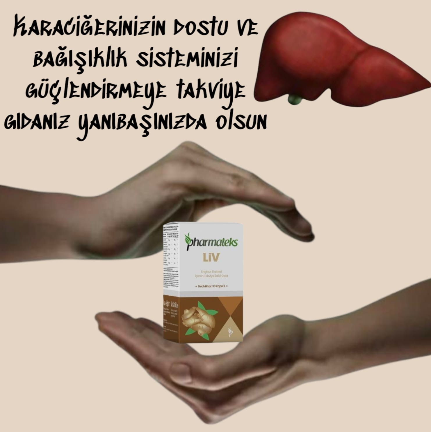 pHARMATEKS LIV 30 KAPSÜL 