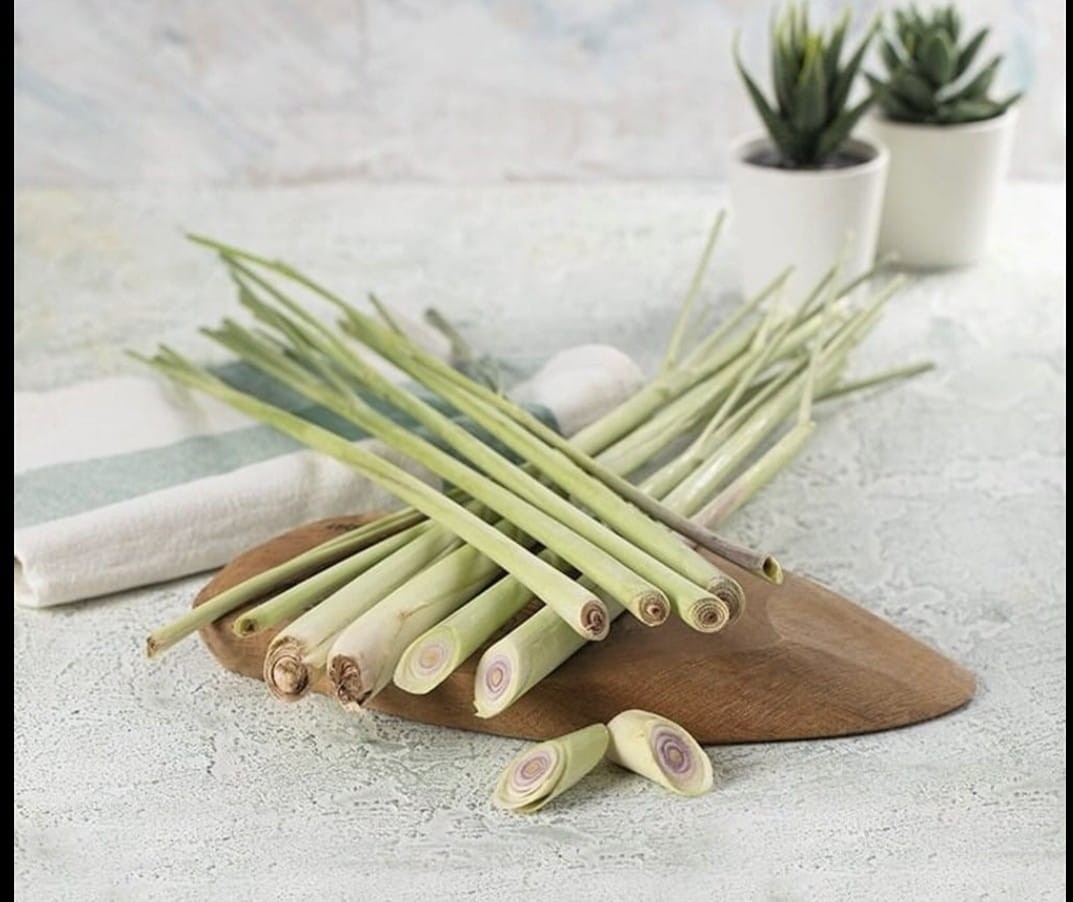 LEMONGRASS ( LİMON OTU ) C VİTAMİNİ DEPOSU 12 ŞASE 