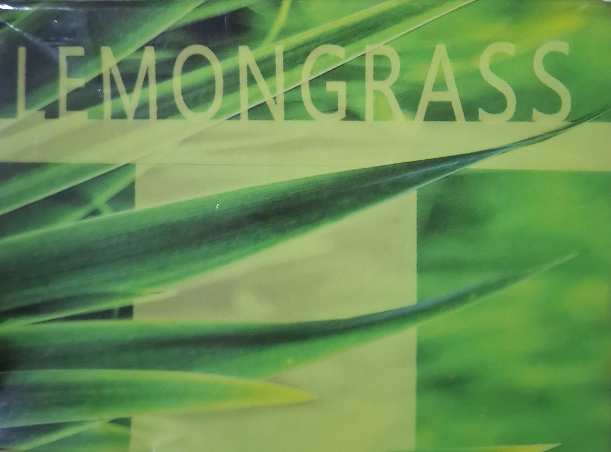 LEMONGRASS ( LİMON OTU ) C VİTAMİNİ DEPOSU 12 ŞASE 