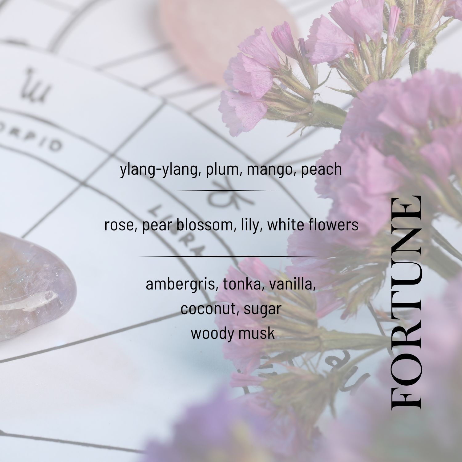 Fortune EDP Women's Perfume 50ml | Vanilla, Floral, Amber