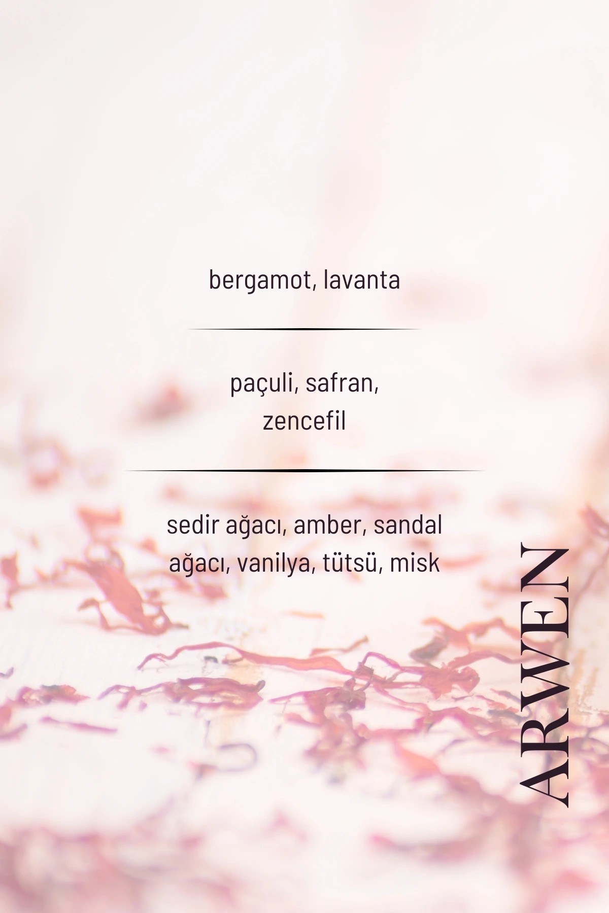 Arwen EDP Seyahat Boy Erkek Parfüm 10ml | Vanilya, Odunsu, Baharatlı