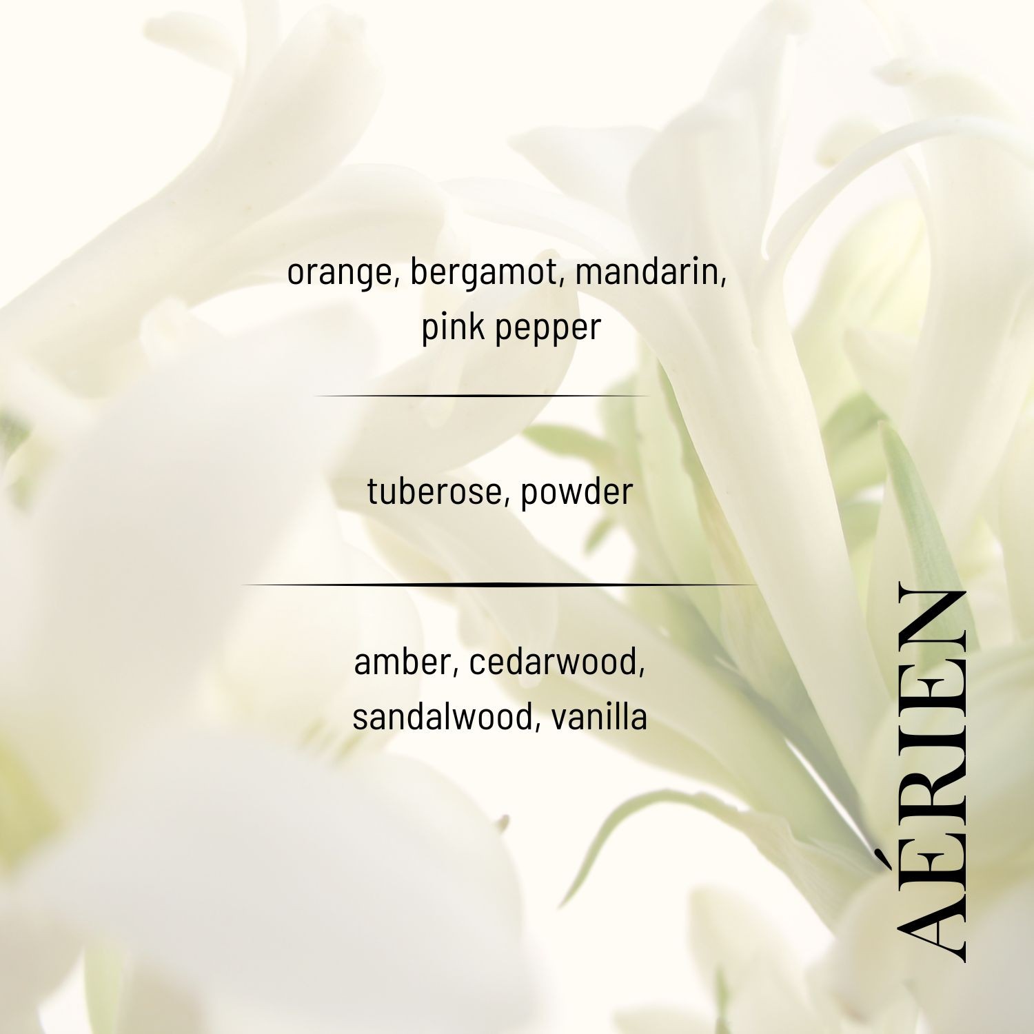 Aérien EDP Women's Perfume 50ml | Floral, Powdery, Musk