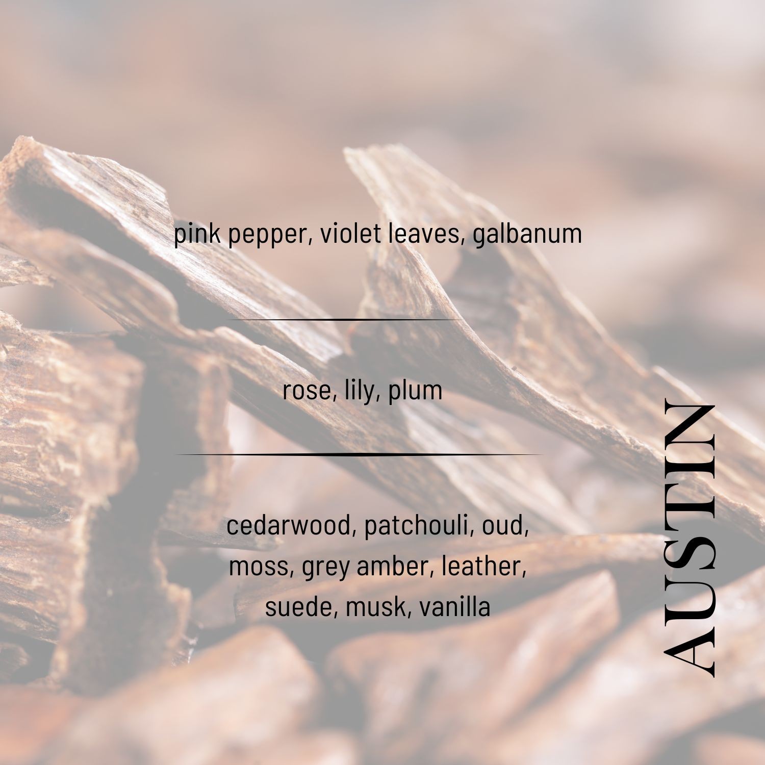 Austin EDP Men's Perfume 100ml | Woody, Spicy, Amber