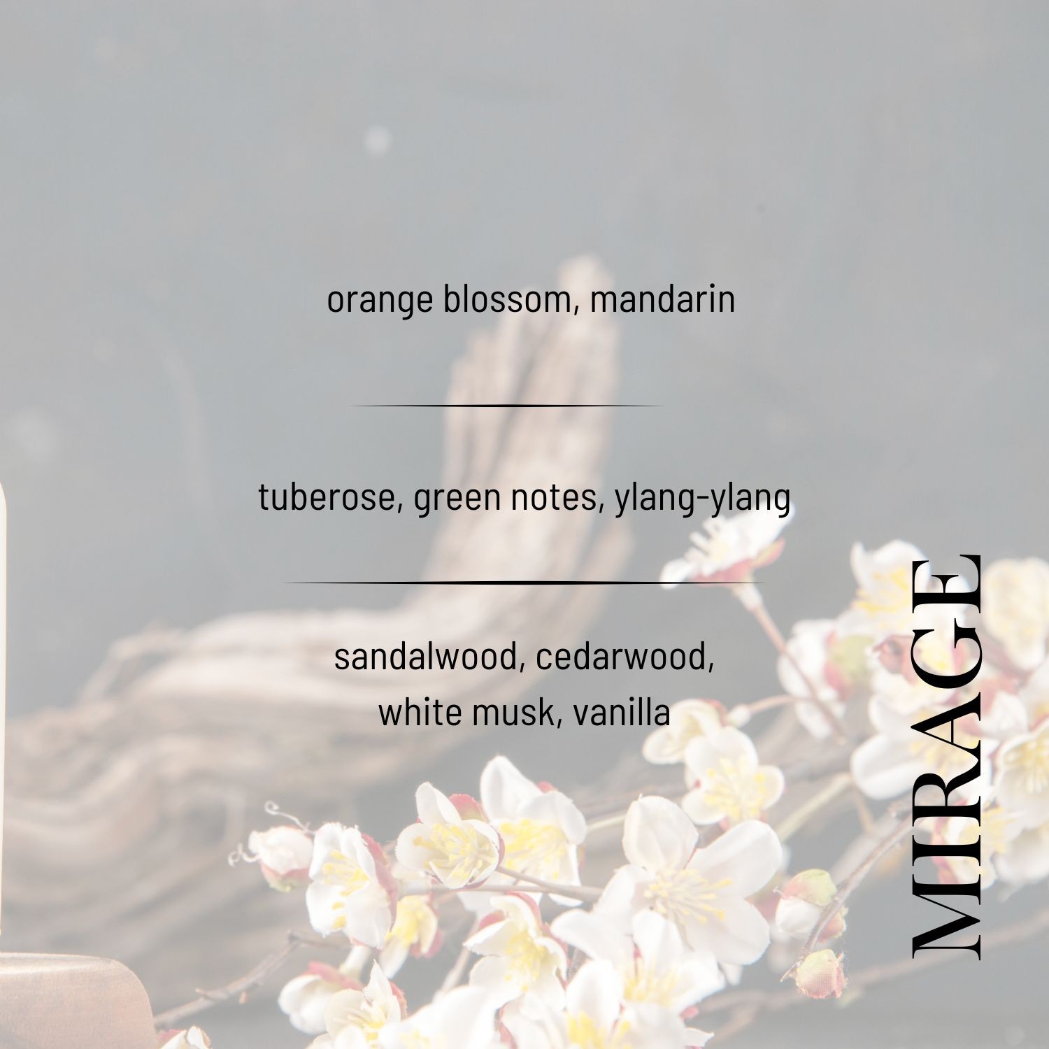 Mirage EDP Women's Perfume 50ml | Floral, Woody, Creamy