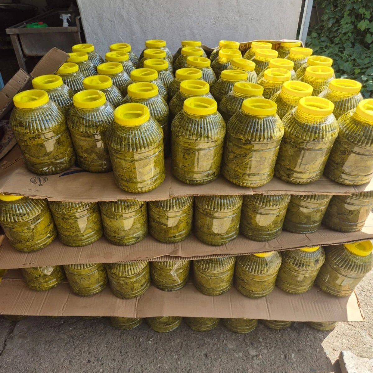 Üzüm Yaprağı 3 kg