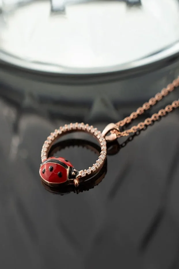 Gümüş Uğur Böcekli Halka Kolye