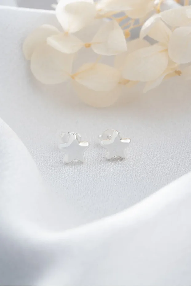 Gümüş Çivili Yıldız Küpe