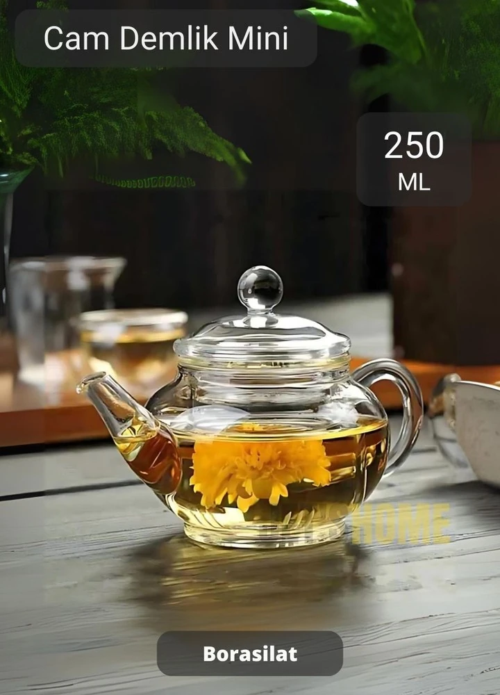 Cam Demlik Şeffaf Süzgeçli Demlik Isıya Dayanıklı Bitki Çayı Demliği Borosilat 250 ml Çap 5.5