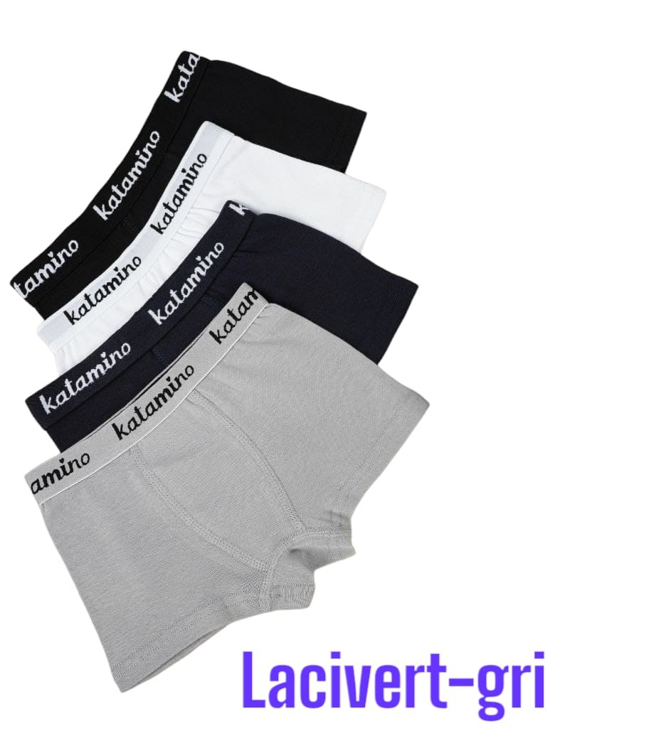 GRİ-LACİVERT
