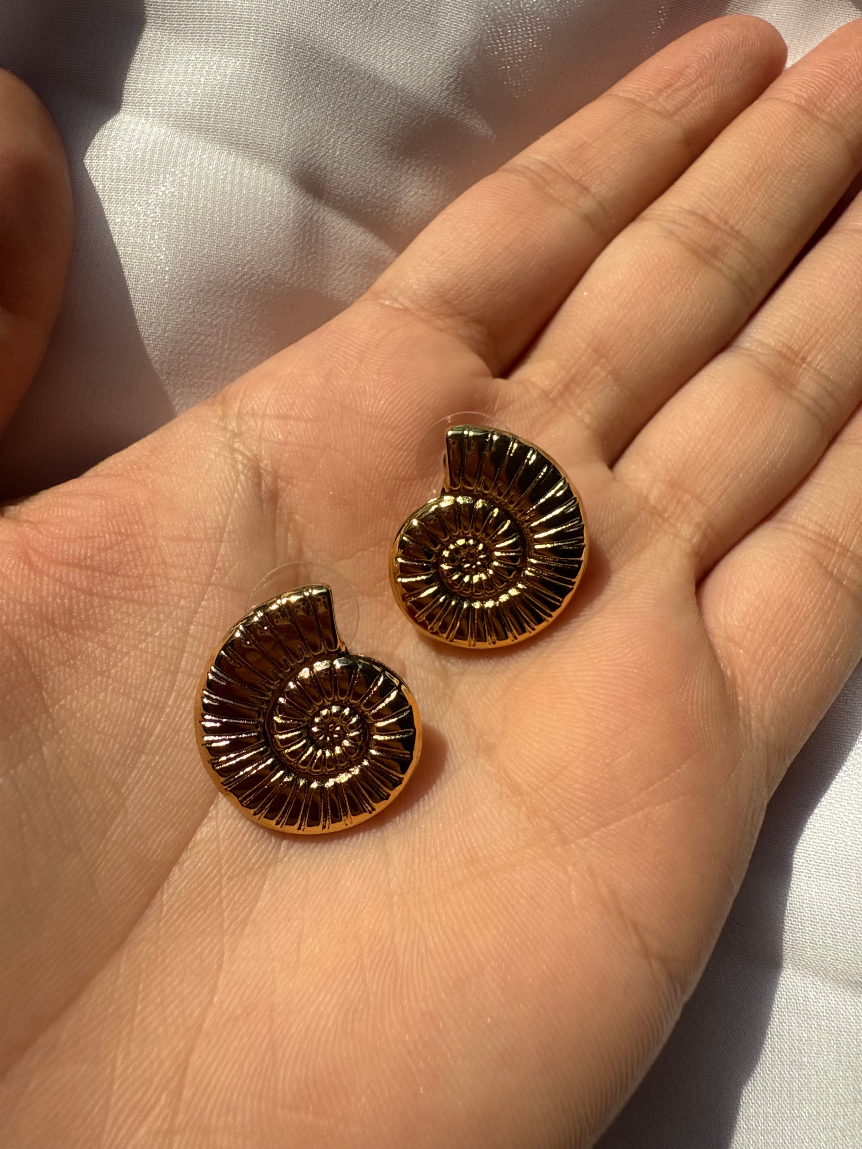 SEASHELL ROUND KÜPE