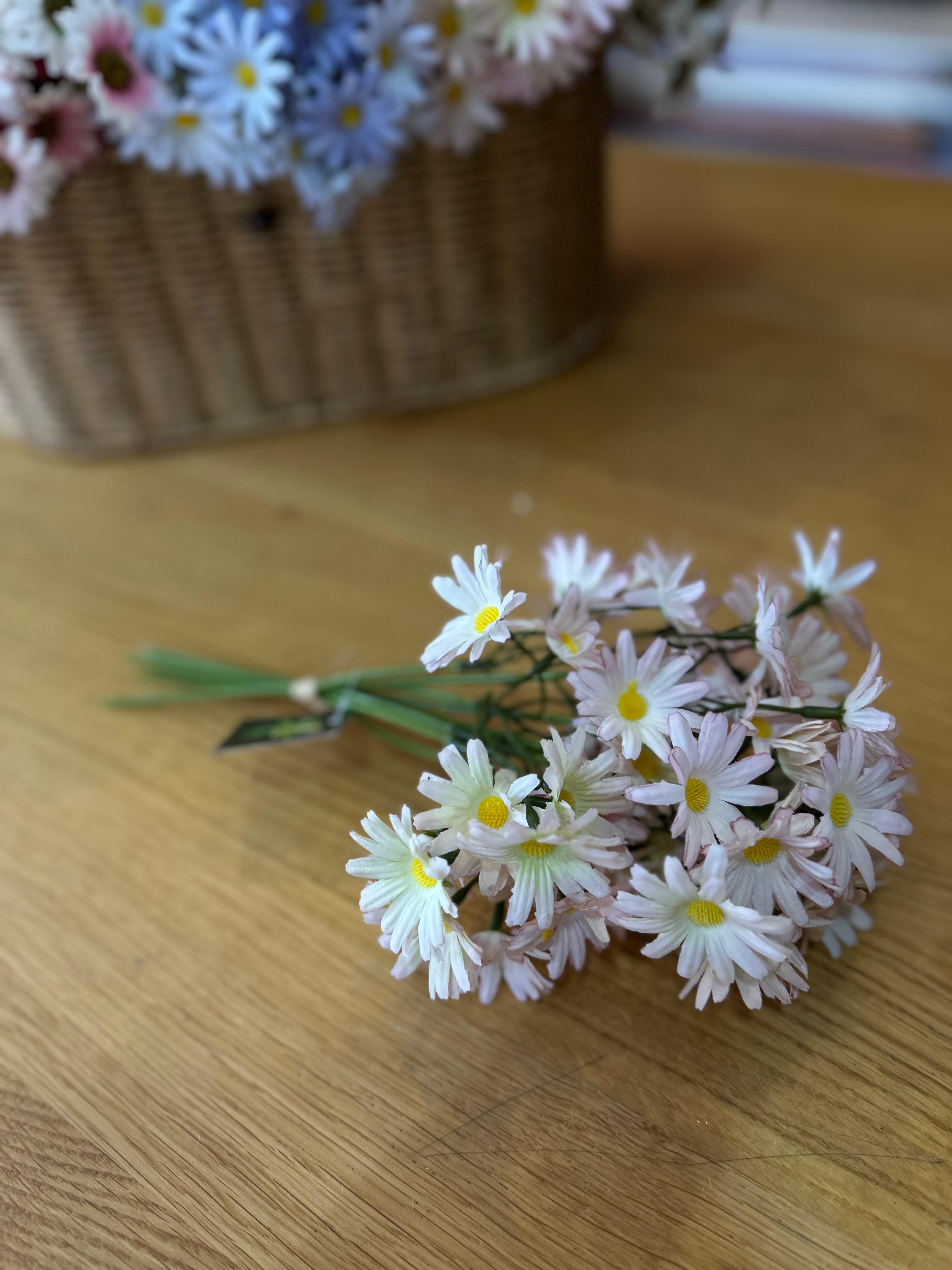 Soft | Renkli Papatyalar